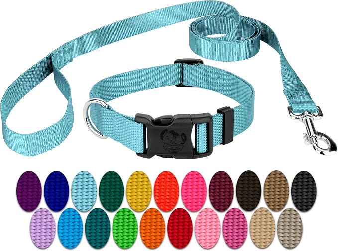 Country Brook Petz - Everyday Nylon Dog Collar and Leash - 10+ Cool Colors (3/8 Inch, Extra Small, Ocean Blue)