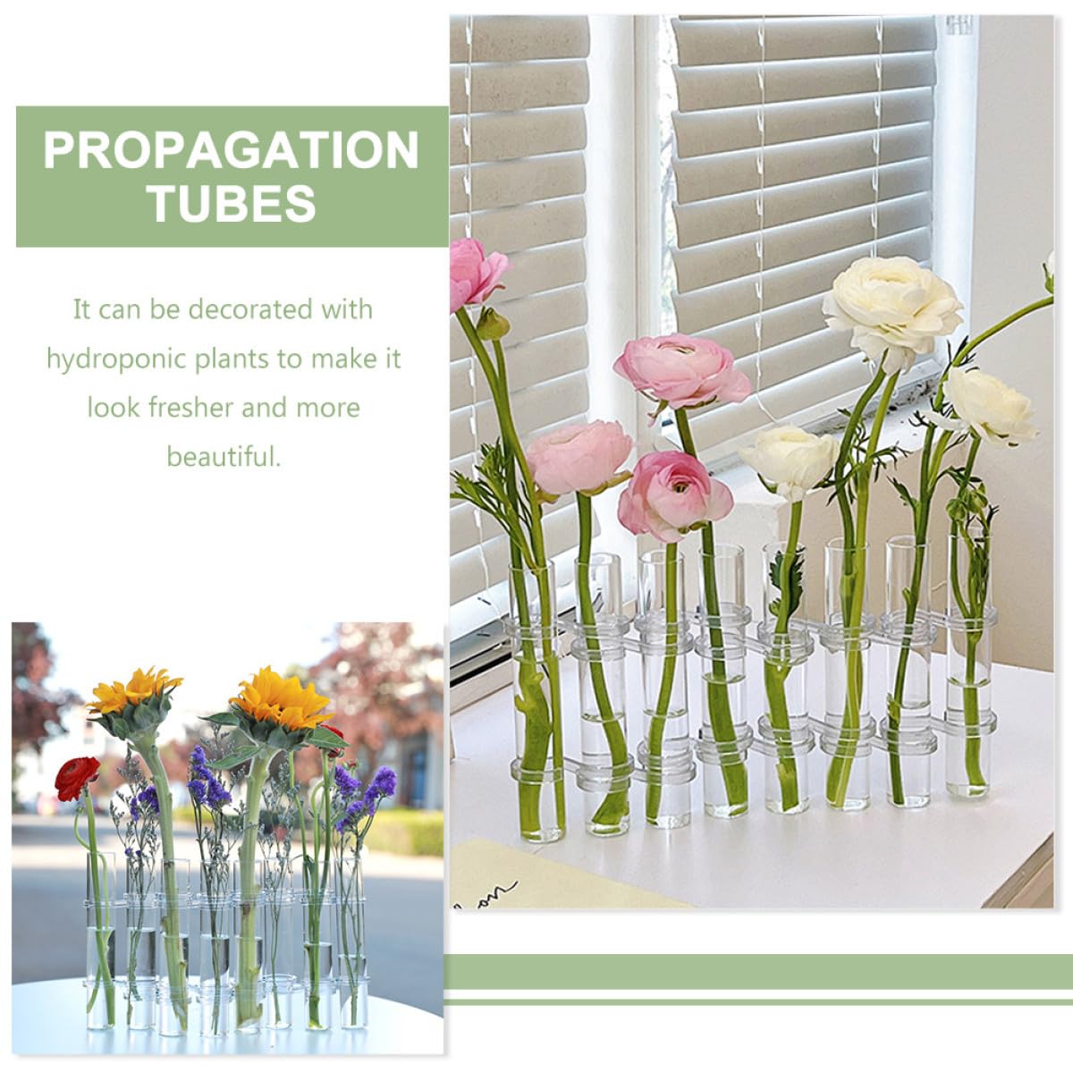 VALICLUD 8pcs Large Glass Test Tube Vases with Brush for Hydroponic Propagation, Indoor Plant Terrarium Kit, Desktop Glass Desk Vase Set for Home Décor and Water Plant Display