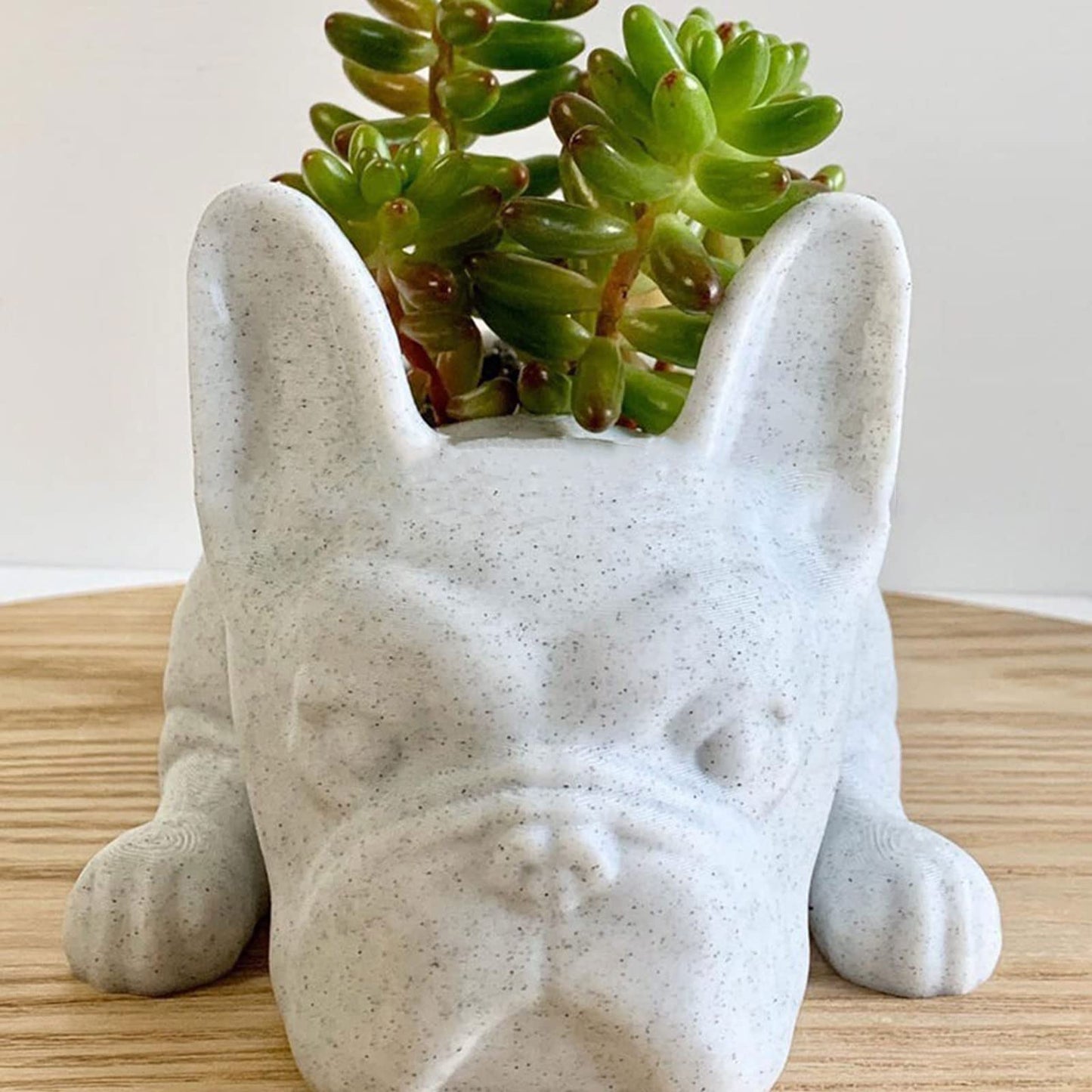 UIYIHIF Resin Dog Succulent Planter Mini Puppy Air Plant Planter,French Bulldog Shape Cute Bonsai Flower Pots for Home Garden Office Desktop Decor (No Plants), White