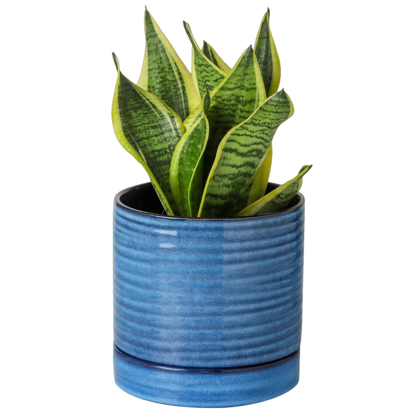 HASENSE 6 Inch Plant Pot, Porcelain Planter Pot with Drainage Hole and Tray, Indoor/Outdoor Reactive Glazes Succulent Cactus Planter, Modern Decorative Gifts for Family and Friends, Blue