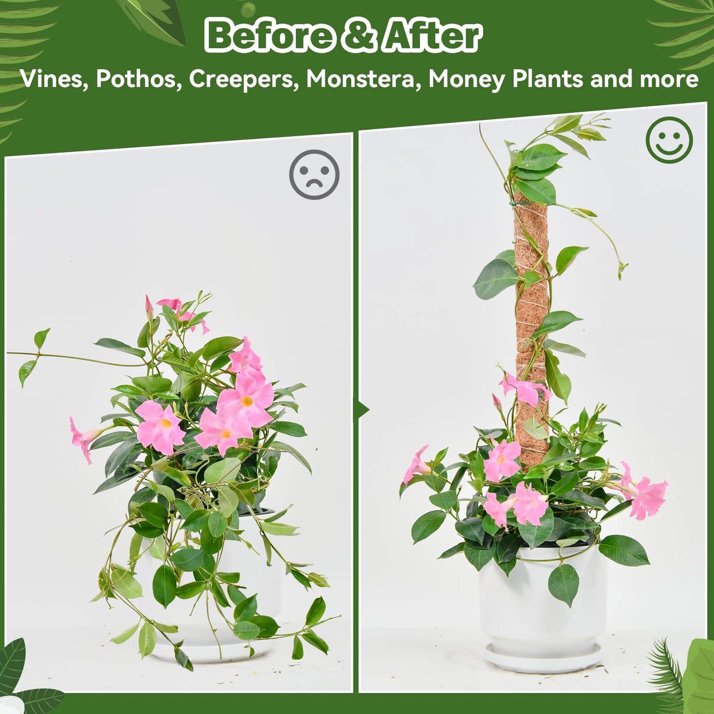 49 inch Tall Moss Pole for Plants, SproutMaven 4 Pieces of 16 Inch Monstera Moss Pole kit for Indoor Outdoor Climbing Plants Lianas to Grow Upwards