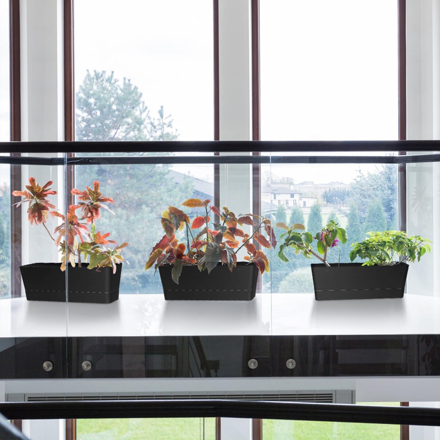 Sanbege Window Box Planter with Tray, 12" Rectangle Plant Pot, Pack of 3 (Black)