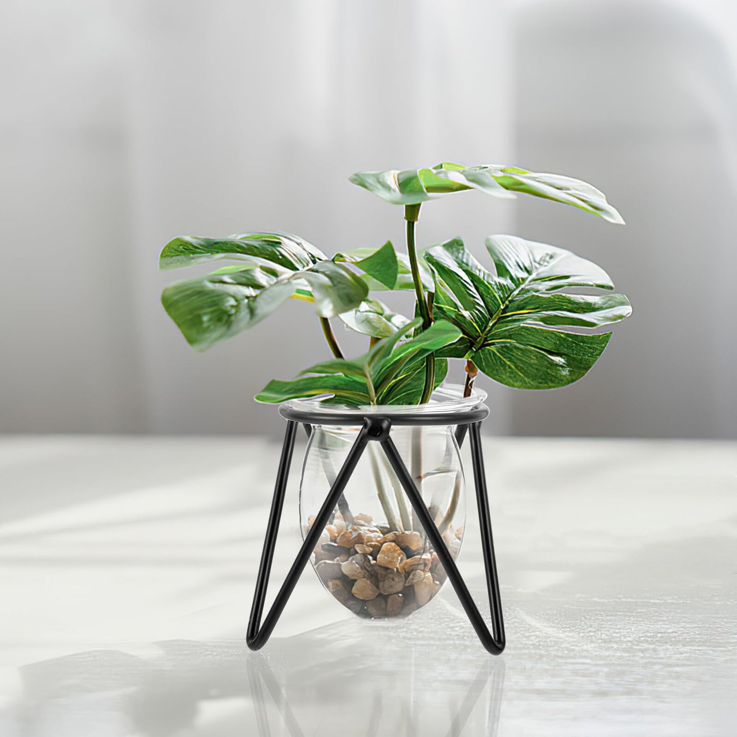 Garneck 6pcs Black Metal Stand Hydroponic Glass Flower Vases Set, Modern Small Desktop Plant Terrarium for Home Décor and Indoor Water Plants