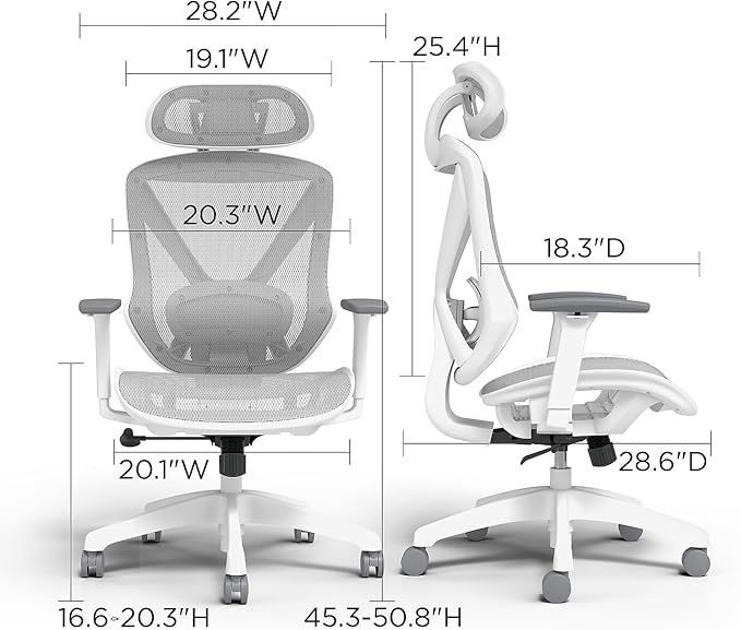 STAPLES Ergonomic Task Chair, Lumbar Support