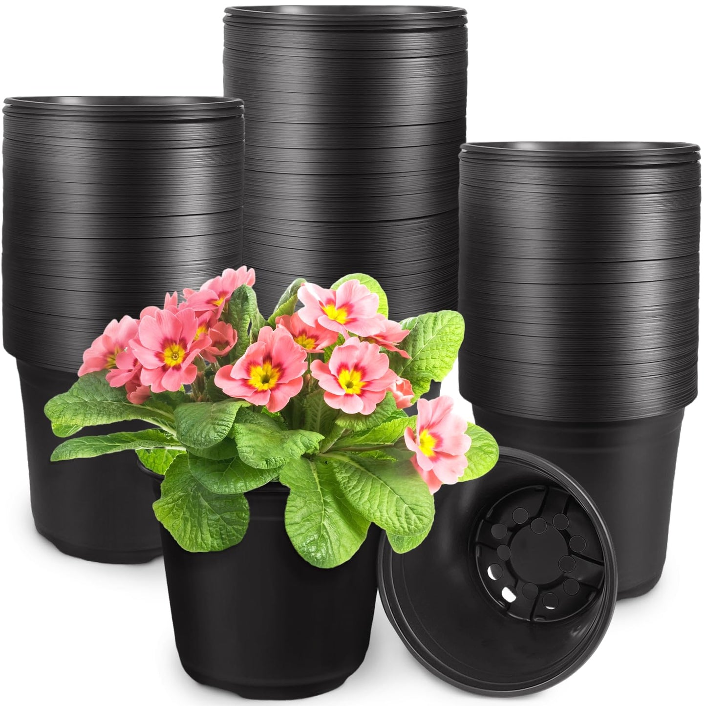 Anyumocz 60Pcs 0.5 Gallon Plant Nursery Pots,Plastic Pots with Drainage Holes,Flower Container Seedling Pot for Planting,Transplanting,Succulents,Cuttings,Garden(Black)
