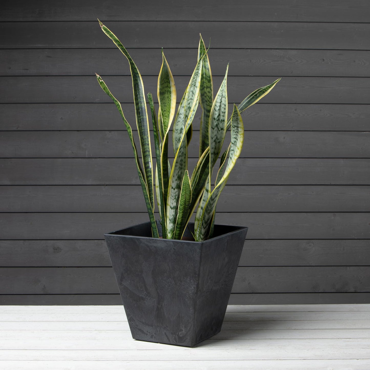 Root & Vessel 35148, Black, Ella Square Planter, 14-Inch