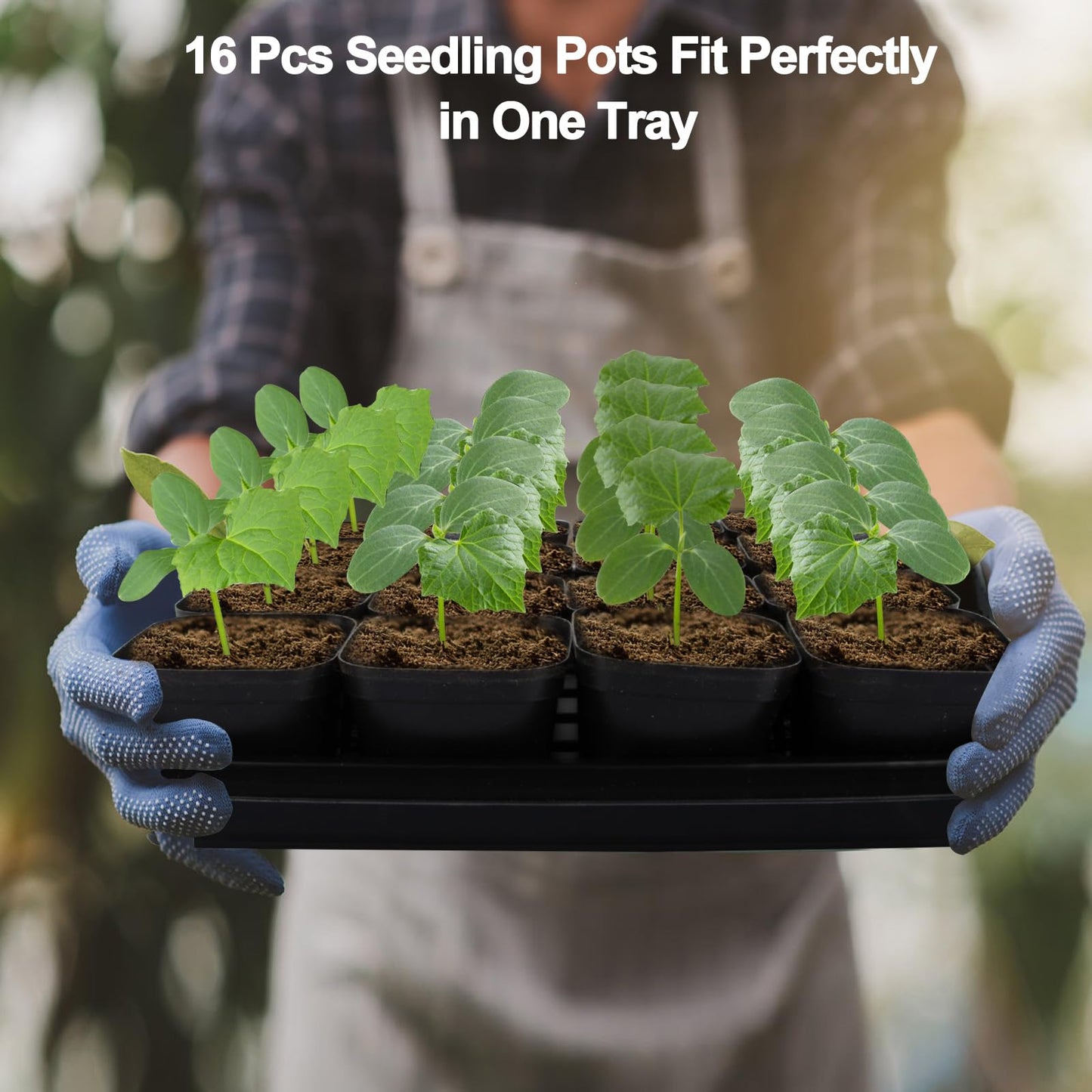 Mlhezy 80Pcs 2.5inch Square Nursery Pots with 5Pcs Seed Starting Trays, Seed Starter Tray Kit, Seeds Starting Germination, Seeding Pots with Drain Holes, Small Plant Nursery Propagation