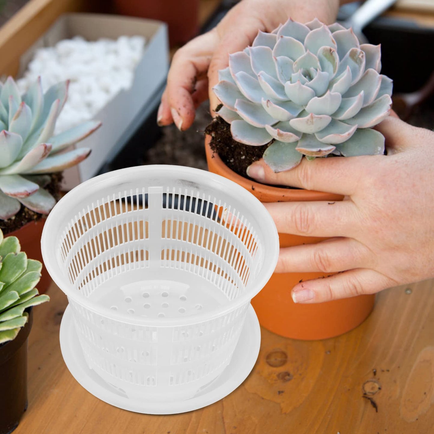 GANAZONO 4Pcs Plastic Orchid Pots with Drainage Holes 6.5 Inch Clear Succulent Nursery Planting Pots for Indoor Garden Balcony Decor