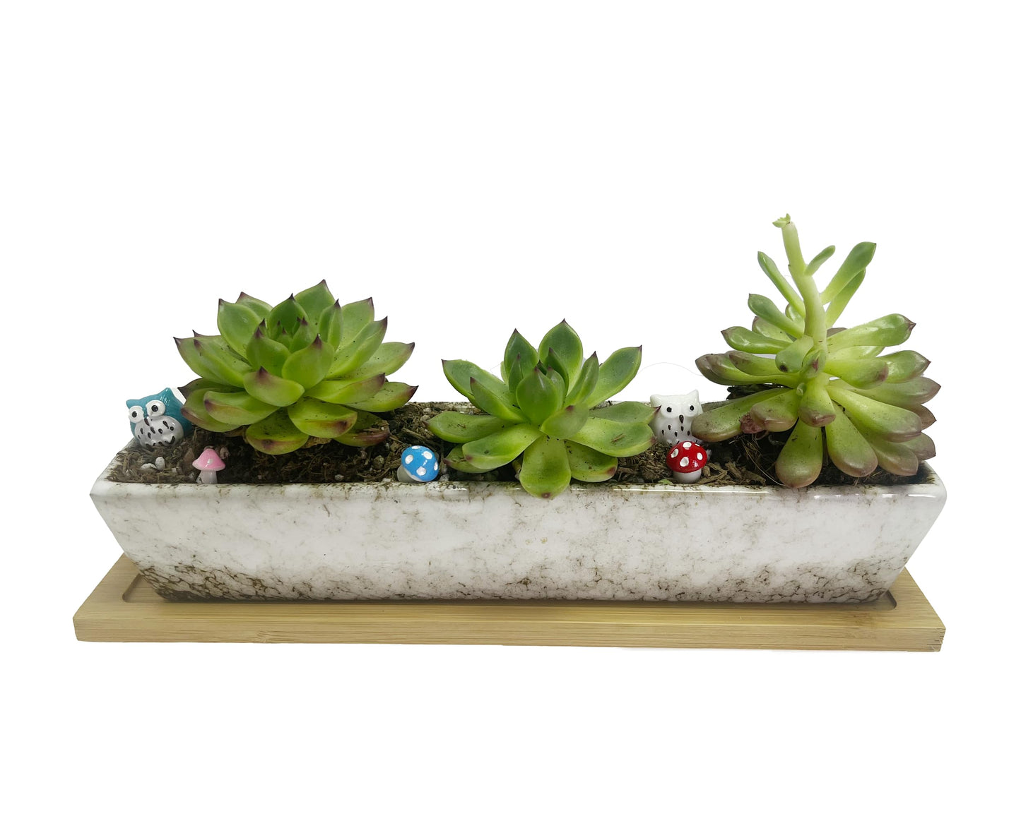 SWONVI 10 inch Ceramic Succulent Planters with Drainage Small Bonsai Pot with Bamboo Tray, Mini Shallow Planter Pot, Rectangular Window Planters for Indoor Plants (White 1 pcs)