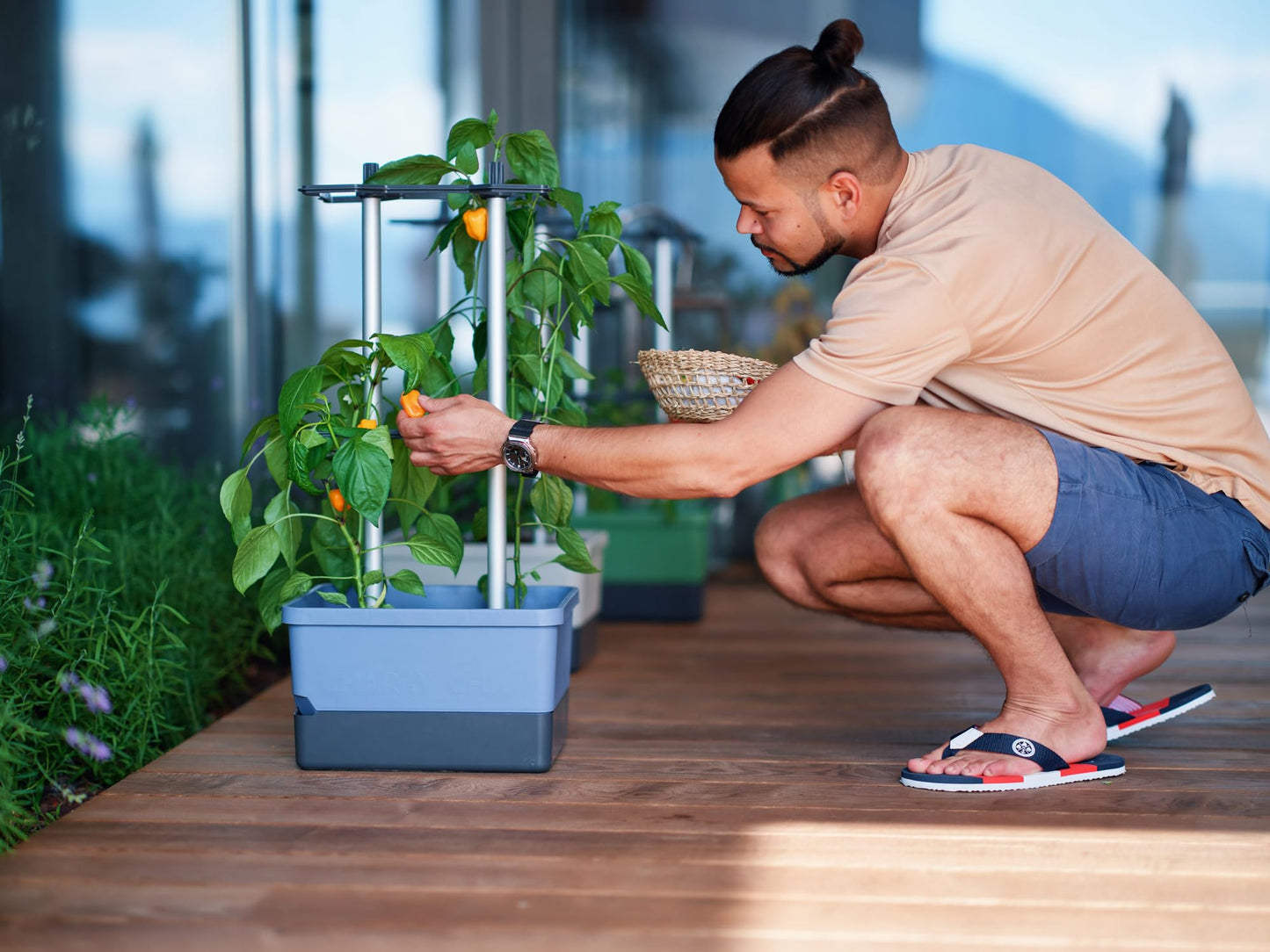 BUZZY Seeds Charly Chili Self-Watering Planter with Vertical Trellis – 1.2 Gal Reservoir, Large Capacity Planter for Chili Peppers, Bell Peppers & Eggplants (Blue)