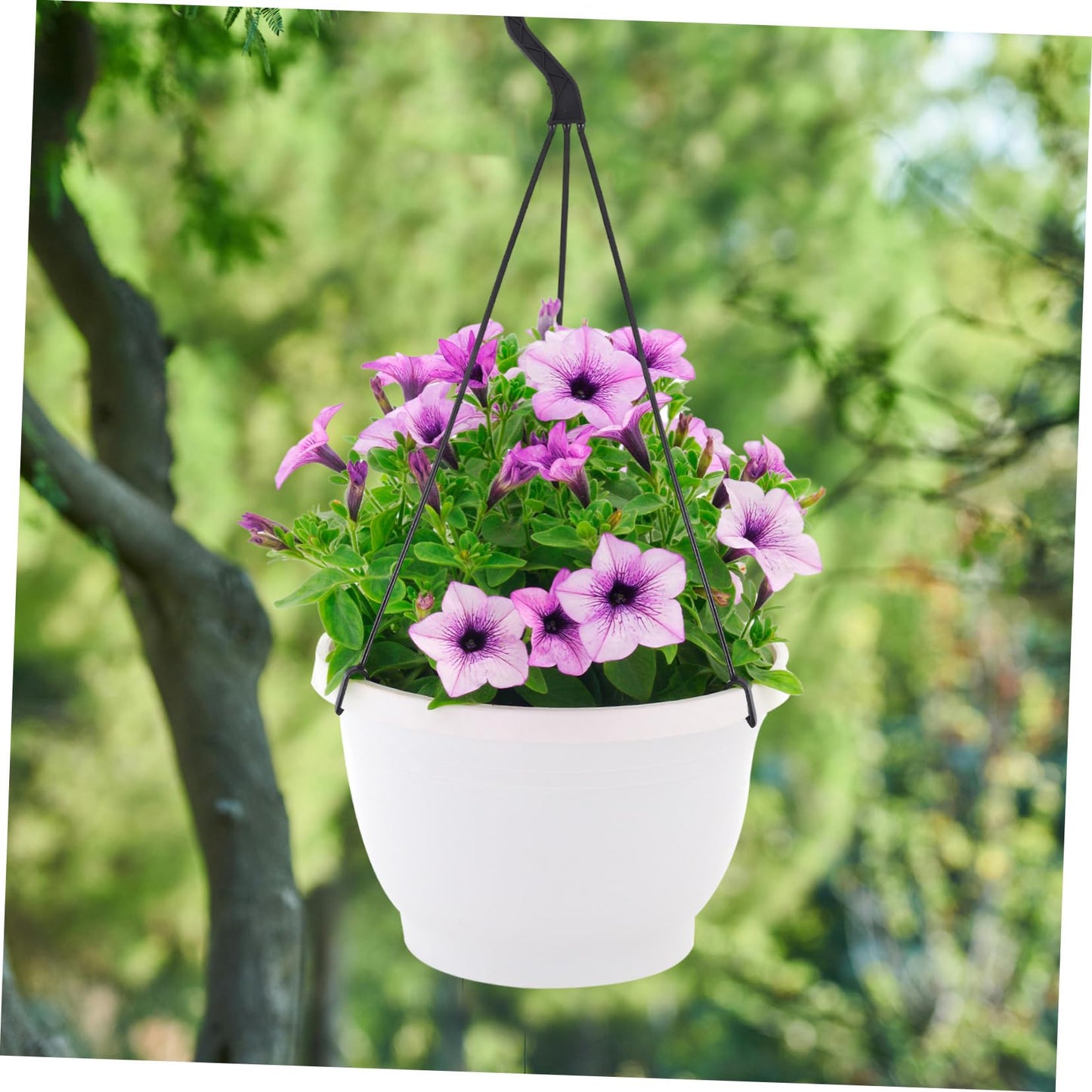 Cabilock 10pcs Plastic Hanging Hooks for Indoor and Outdoor Plant Display Flower Pot Hanger for Garden Balcony and Home Decor for Pothos