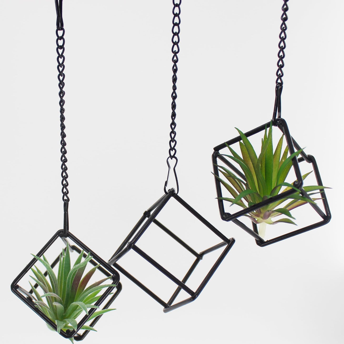 6 Pack Metal Hanging Air Plant Holders - Geometric Black Cube Tillandsia Hangers with Long Chains, Wall or Ceiling Mount for Small Air Plants, Home & Office Boho Decor (Individual or Combined Use)
