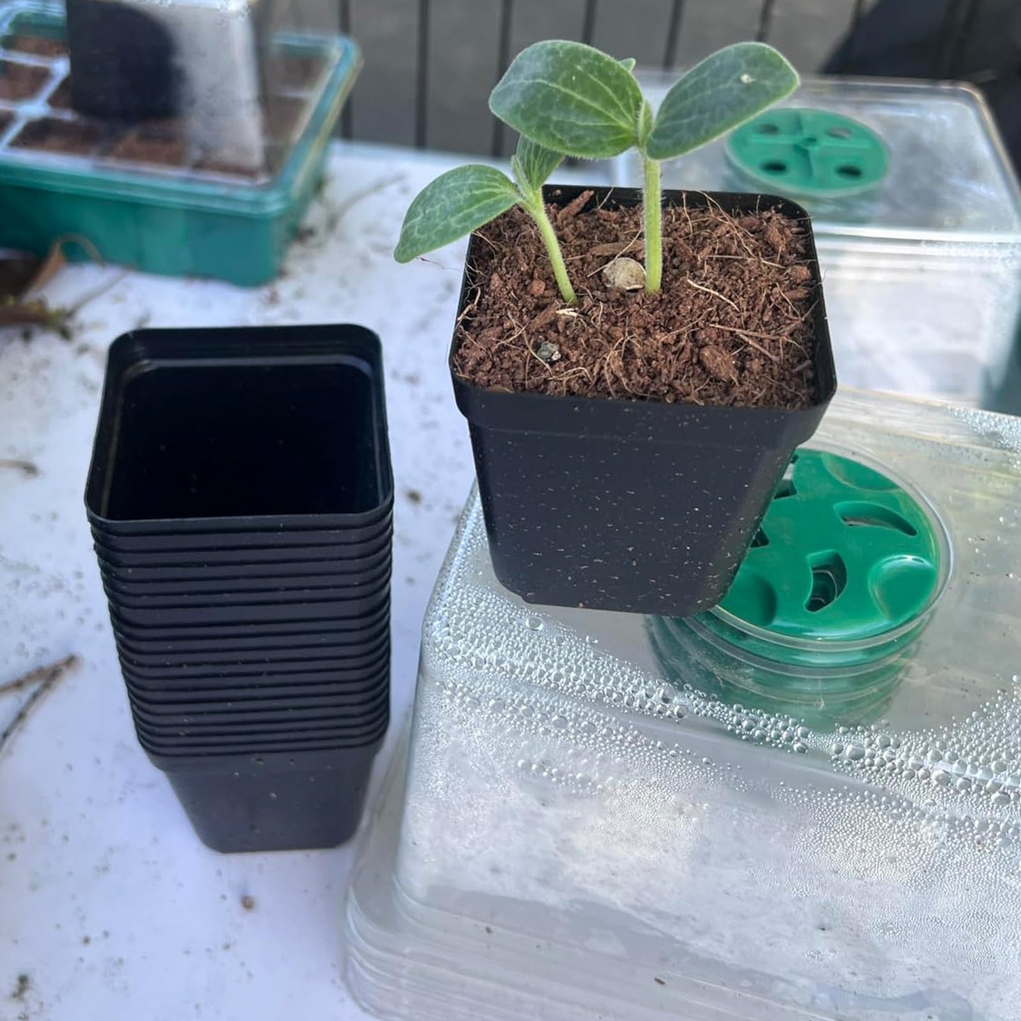 MAHIONG 150PCS 4 Inch Square Nursery Plant Pots, Plastic Plant Seedling Pots with Drainage Holes, Black Plant Seedling Pots for Starting Seedlings or Garden Plant