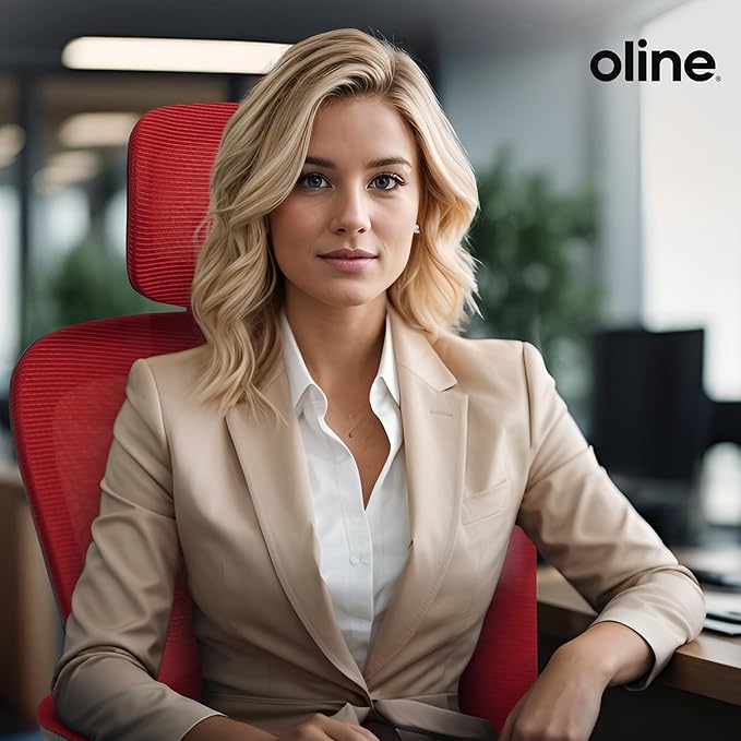 Oline ErgoAir Ergonomic Office Chair – Adjustable Lumbar Support, Flip-Up