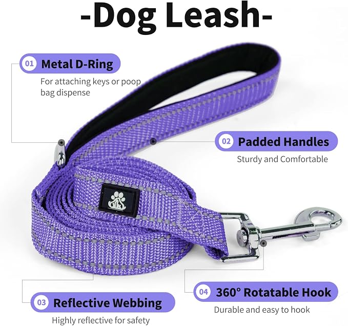 IVY&LANE Reflective Dog Collar and Leash Set,Adjustable Neoprene Padded Dog Collars for Puppy, Breathable Nylon Pet Collar for Small Medium Large Dogs (Medium,Purple)