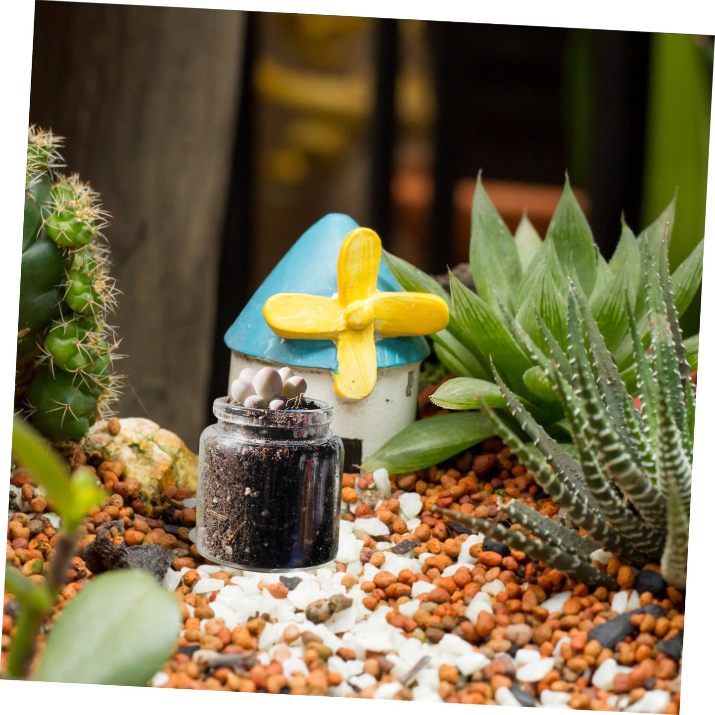 Toyvian 10pcs Mini Glass Bottles for Succulent Plants Micro Landscape Terrarium Vases for Propagation and Greenery Decoration Diameter Height for Succulents and Low Maintenance Displays