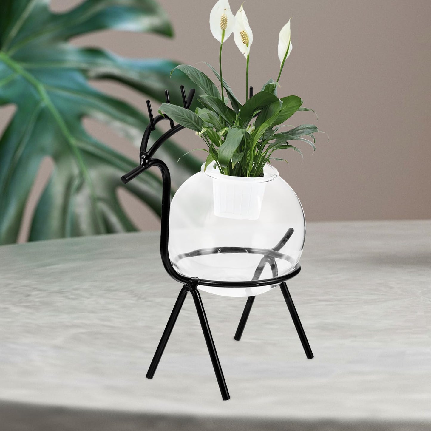 Uonlytech Hydroponic Flower Vase and Glass Plant Container with Metal Stand, Black Desktop Planter for Home and Office Decoration, Nordic Style Terrarium for Succulents and Green Plants
