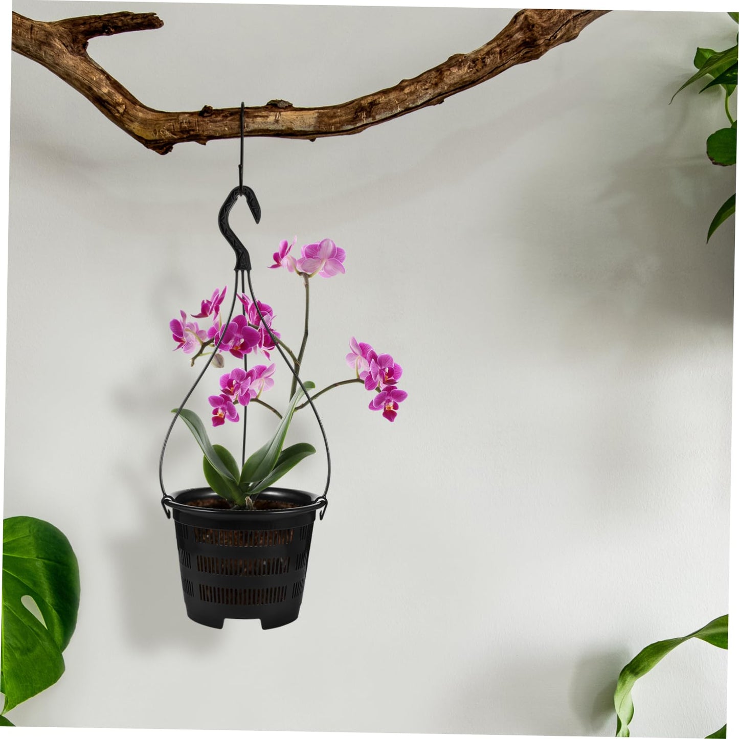 Happyyami 5 Sets Hanging Plant Pot Plastic Orchid Planter with Hook Root Controlling Pot for Indoor Outdoor Balcony Patio Garden Home Decorations