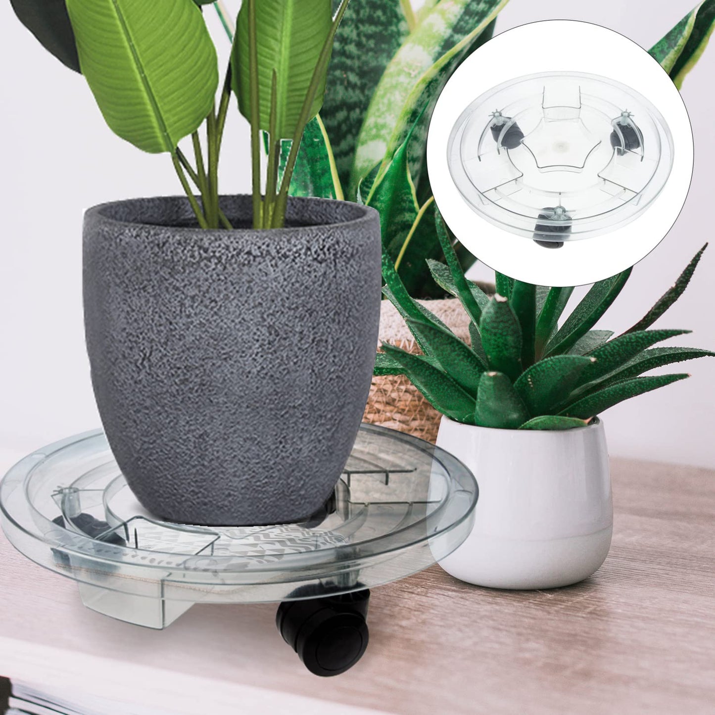 LIFKOME Plant Stand with Wheels Plastic Plant Caddy Round Potted Plant Stand on Wheels Dolly Trolley Saucer Tray Pallet with Universal Wheels for Indoor Outdoor Home Garden Clear