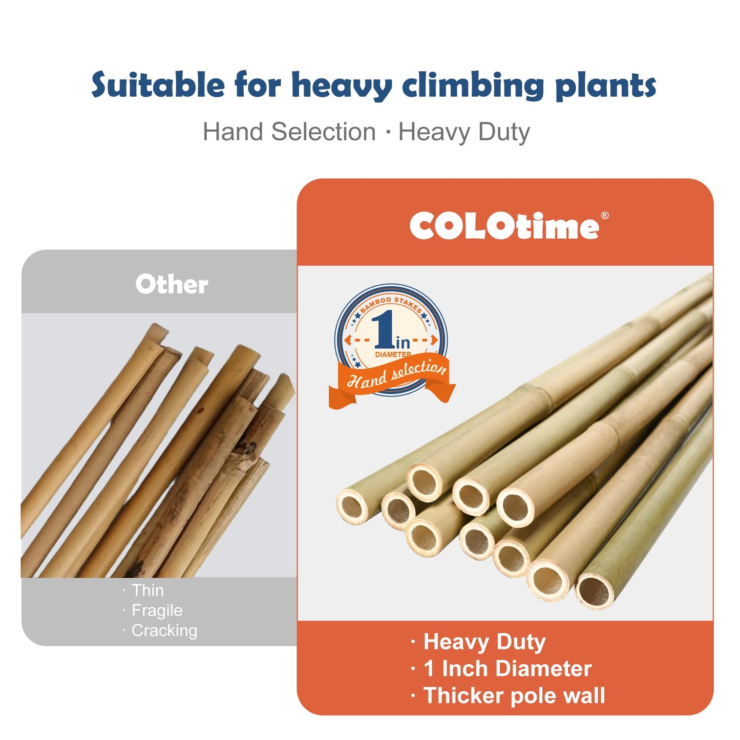 COLOtime 8FT Bamboo Stakes Plant Stakes 1 Inch Thick Diameter Garden Stakes Heavy Duty for Plant Support Outdoor Climbing Plants Support Gardening Stakes 10 Pack