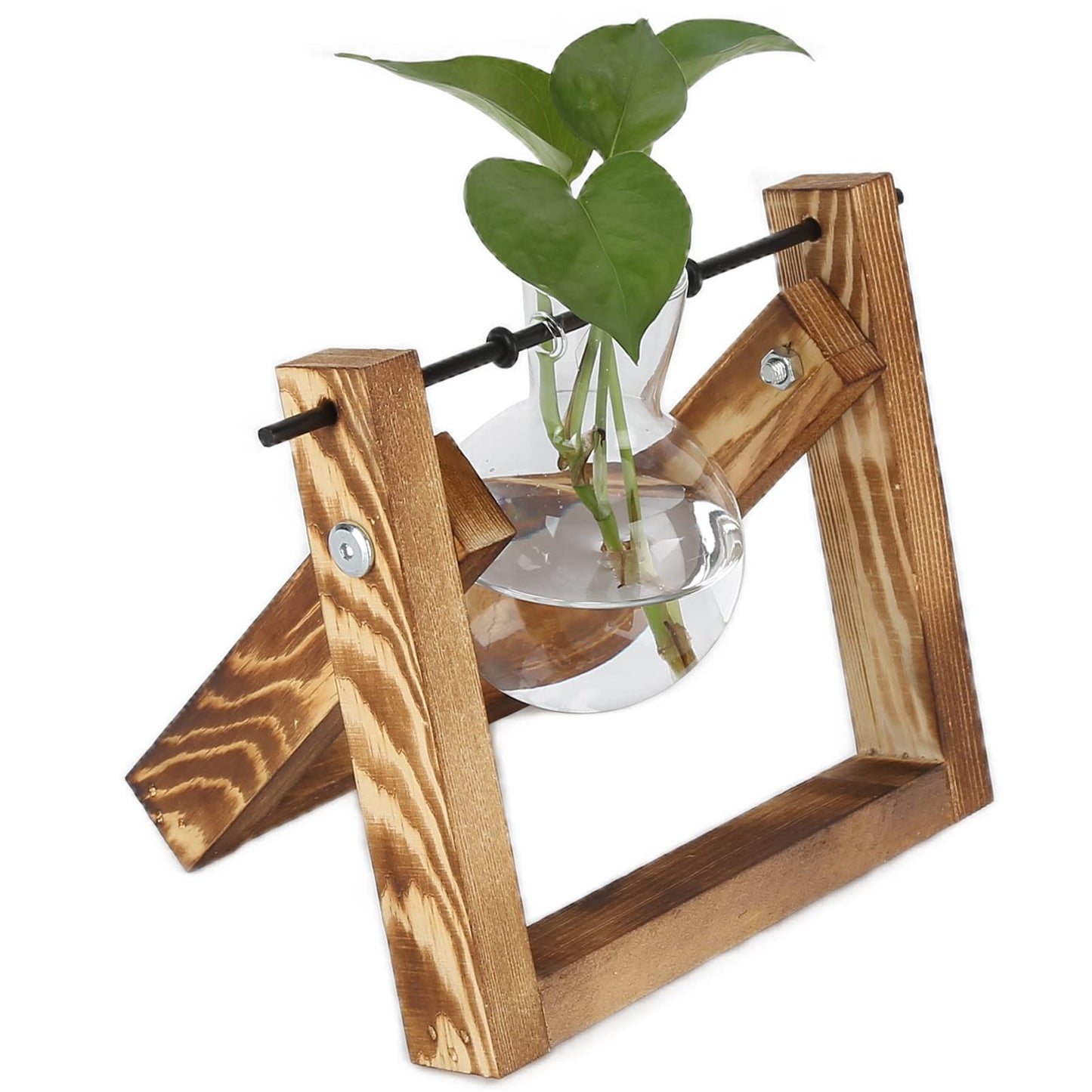 Fydun Plant Terrarium with Wooden Stand, Stand,Desktop Air Planter Glass Vase Desktop Terrariums Bulb for Indoor Hydroponics Water Plants Home Garden Office Decoration Accessories2