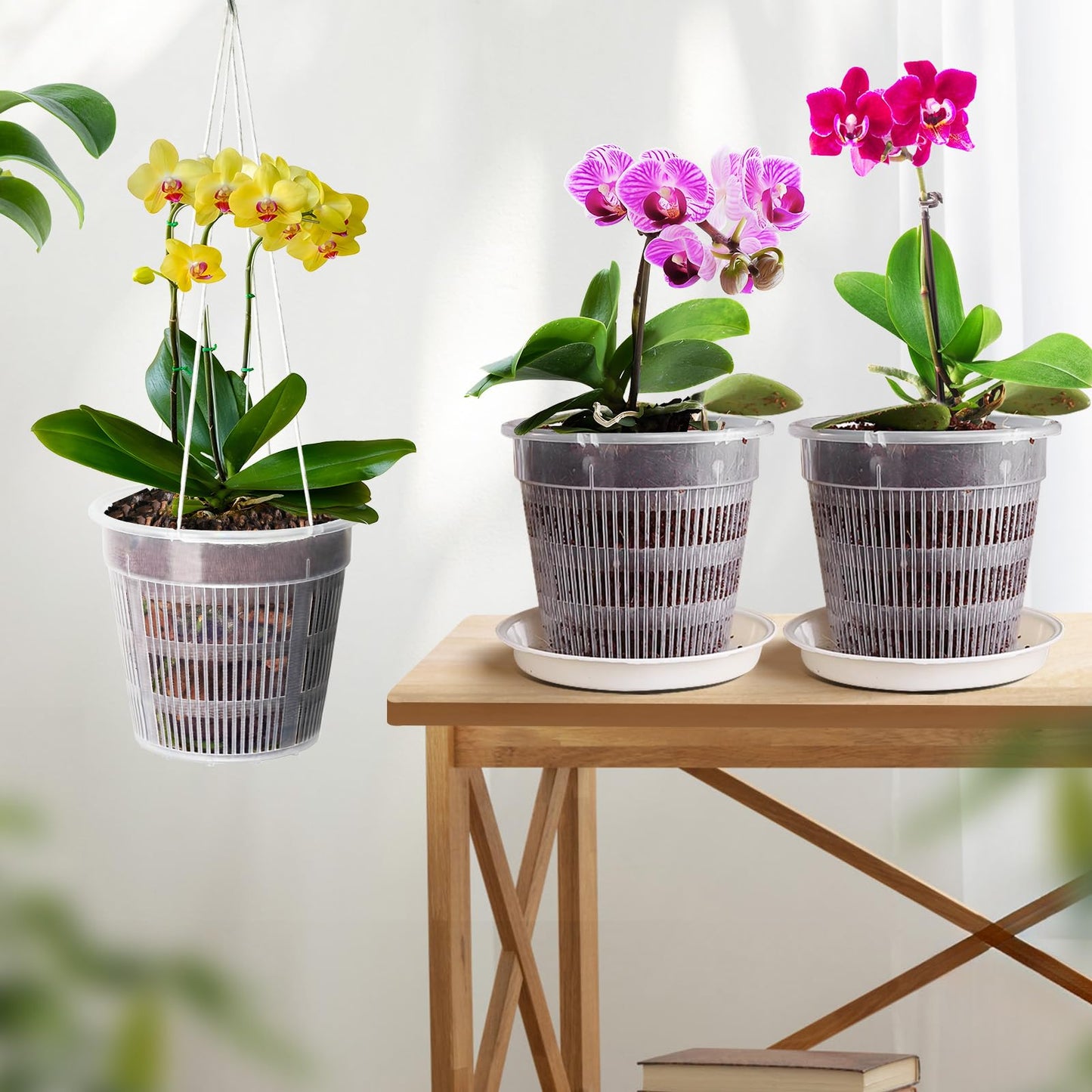MYITYARD Orchid Pot, 6 Pack 6 Inch Orchid Pots with Holes & Saucers for Repotting - Clear Plastic Plant Pots for Indoor Outdoor Flower Planters Dendrobium Phalaenopsis