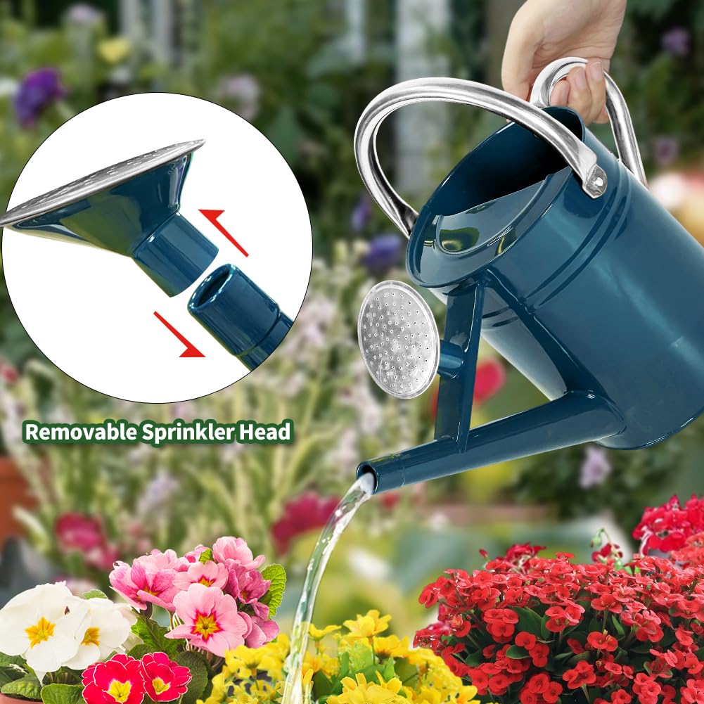 1 Gallon Metal Watering Can with Removable Spout, Nice Galvanized Steel Water Can for Indoor and Outdoor Plants (Ocean Blue)