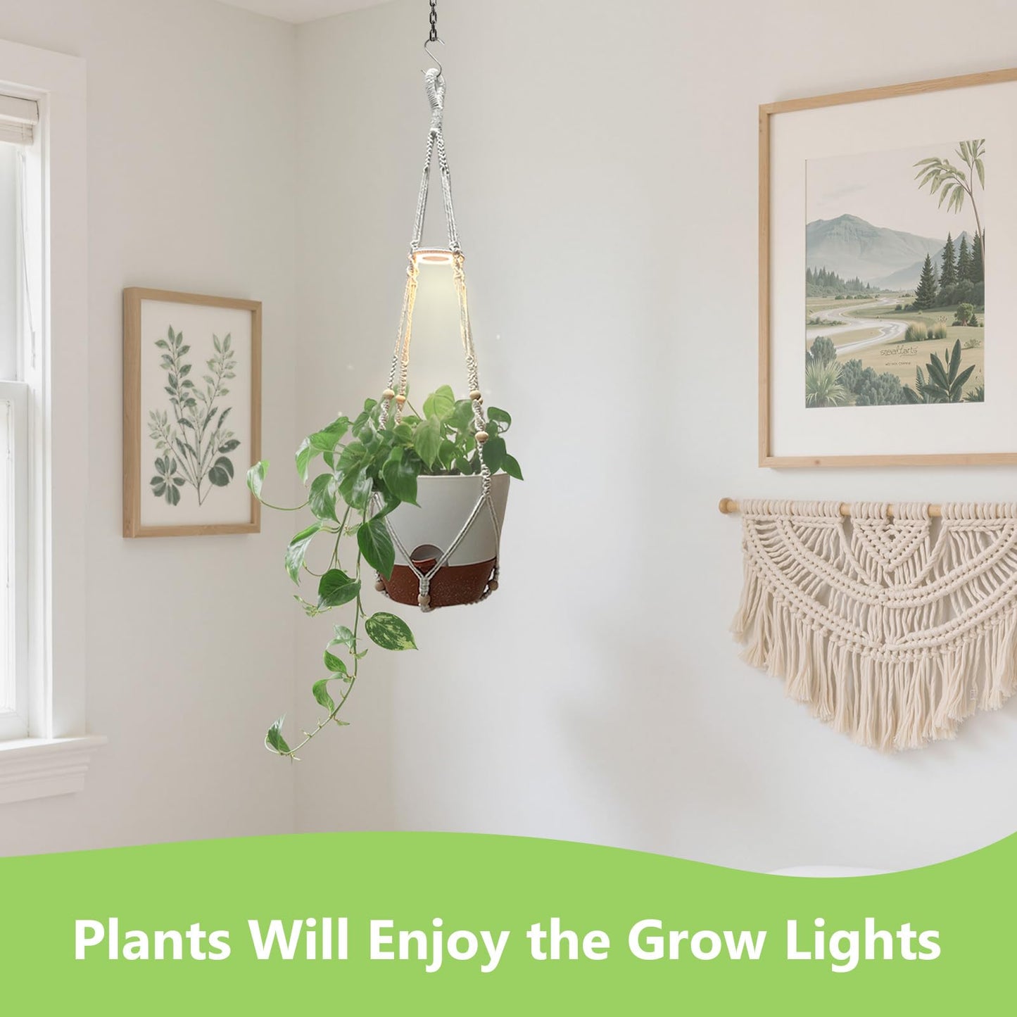 MSFON 2 Pack Hanging Planters with Grow Light for Indoor Plants, 10” Self Watering Pots for Apartments & Low-Light Rooms, Macrame Hangers, Timer, Drainage Holes & Removable Tray