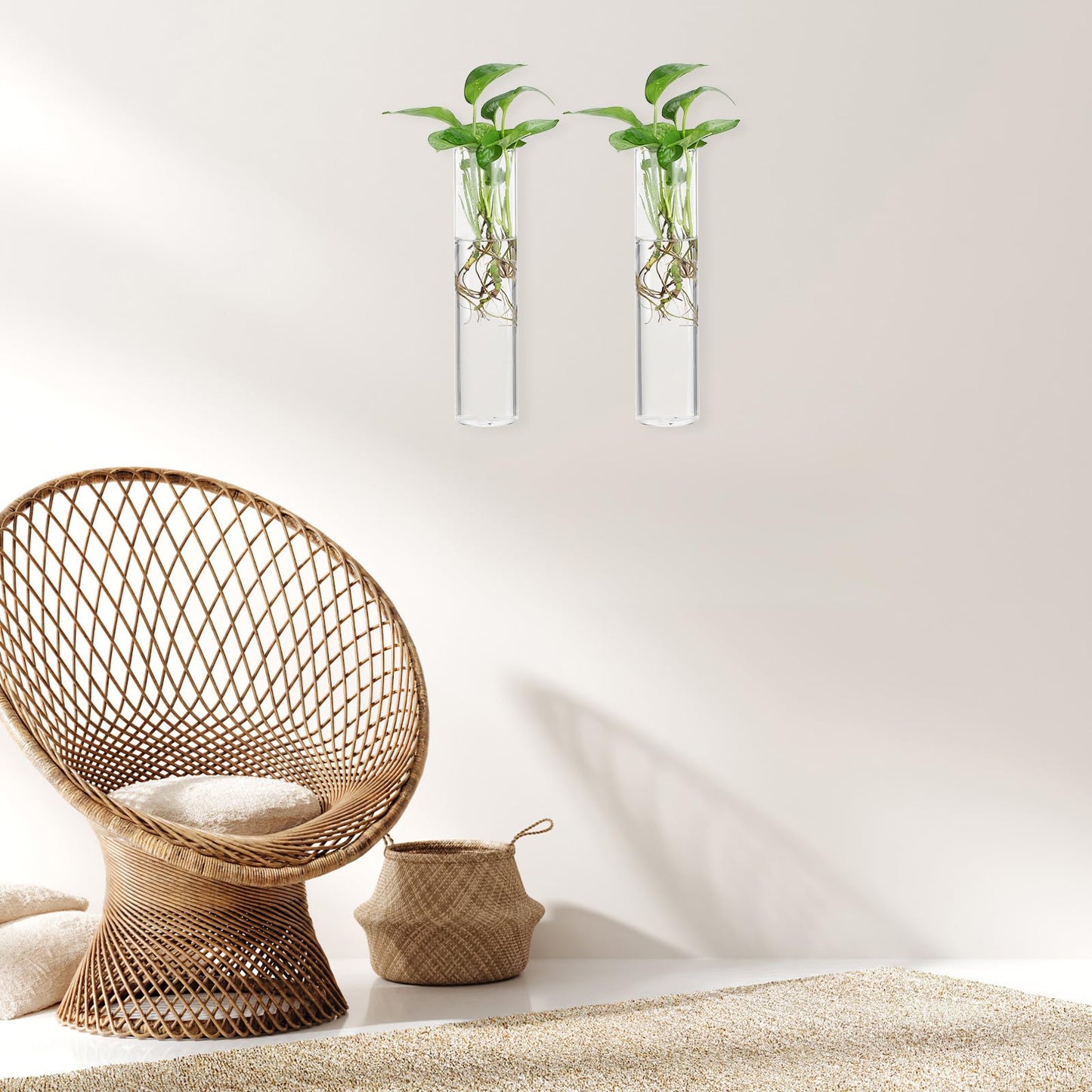 VINTORKY Wall Hanging Glass Cylinder Vases for Indoor Plants, 2pcs Hydroponic Terrarium Plant Holders, Glass Propagation Station for Home Décor
