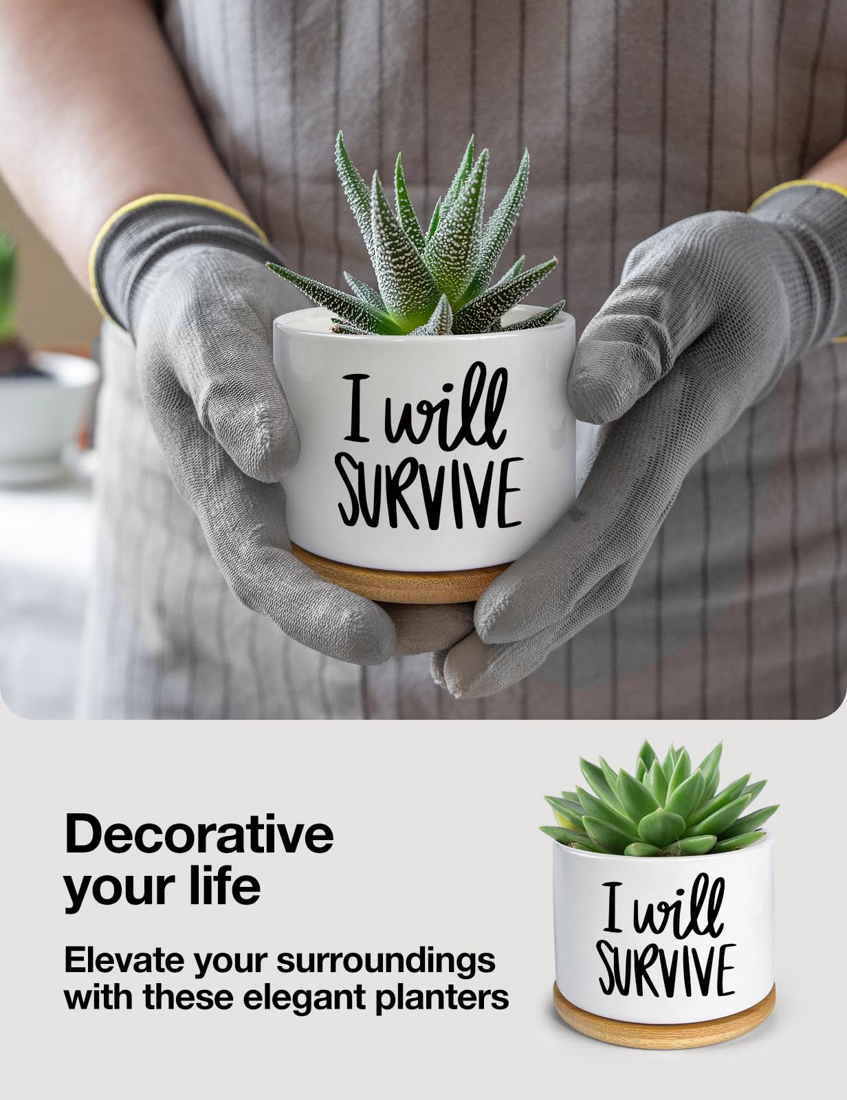 WHING 3.5 Inch Mini Succulent Planter Pot, I Will Survive Funny Engraved White Ceramic Cactus Pot with Bamboo Tray, Indoor Flower Plant Pots for Home Office Windowsill Decor Gift, Plant Not Included