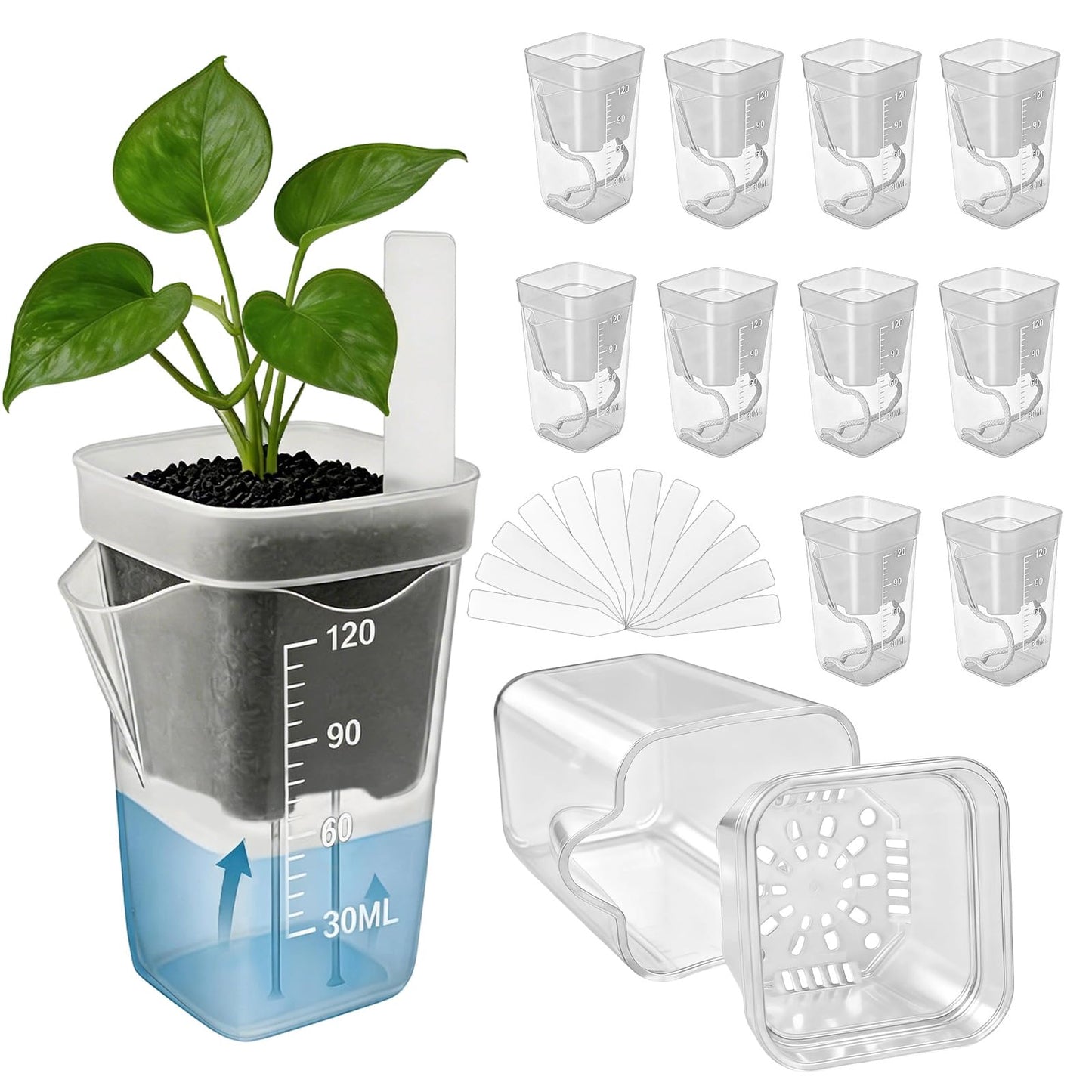 Fukaisu 12pcs 2in/5cm Self Watering Plant Pots with 12 Plant Labels, Small Clear Plastic Propagation Cups with Water Level Indicator & Drainage Hole for Seedlings Cuttings Succulents Herbs Vegetables
