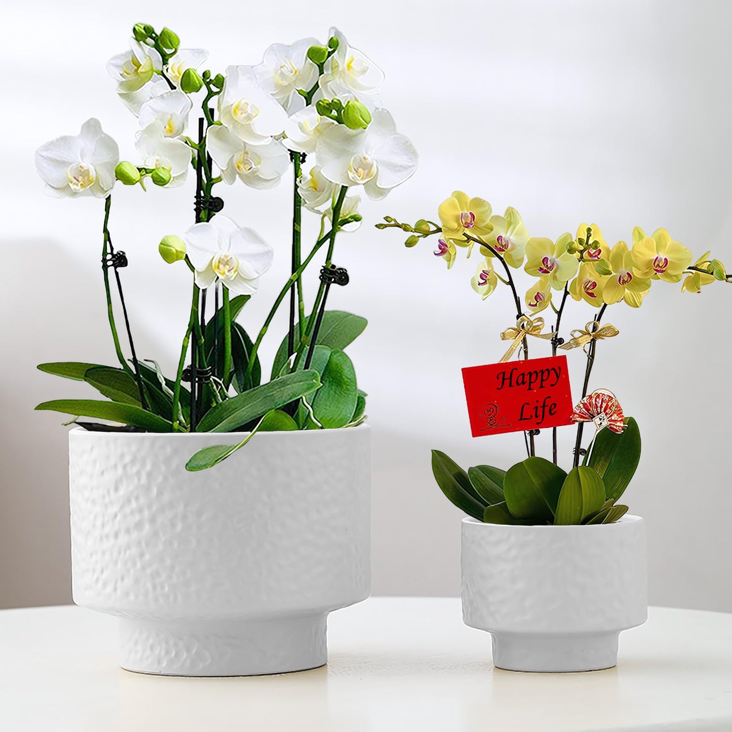 OXART 12.2+10+7.7 inch Ceramic Pots for Plants, Flower Pots for Indoor Plants with Drainage Hole, Round Large Plant Pots, Thick-Walled Ceramic Planters for Home Office, Set of 3, White