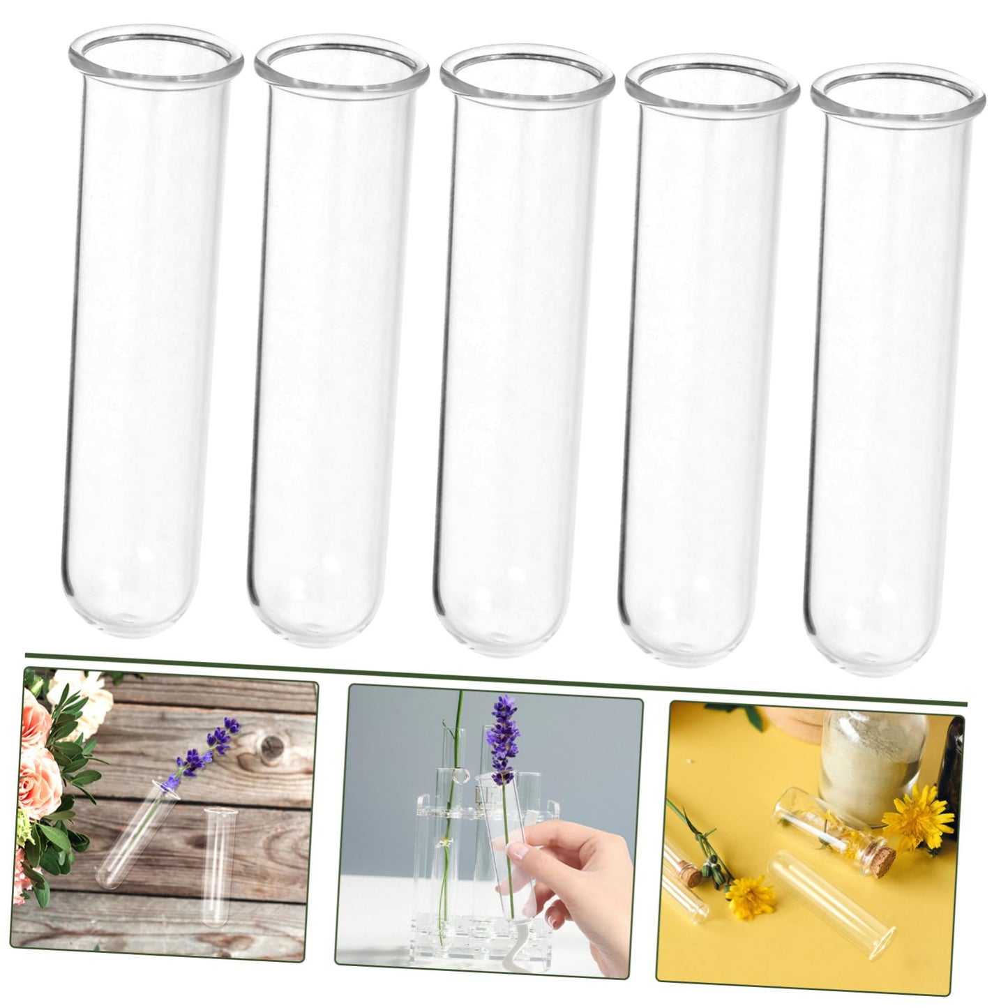 Toddmomy 5pcs Glass Test Tube Vase for Air Plants Live Houseplants Propagation Station Terrarium Plants