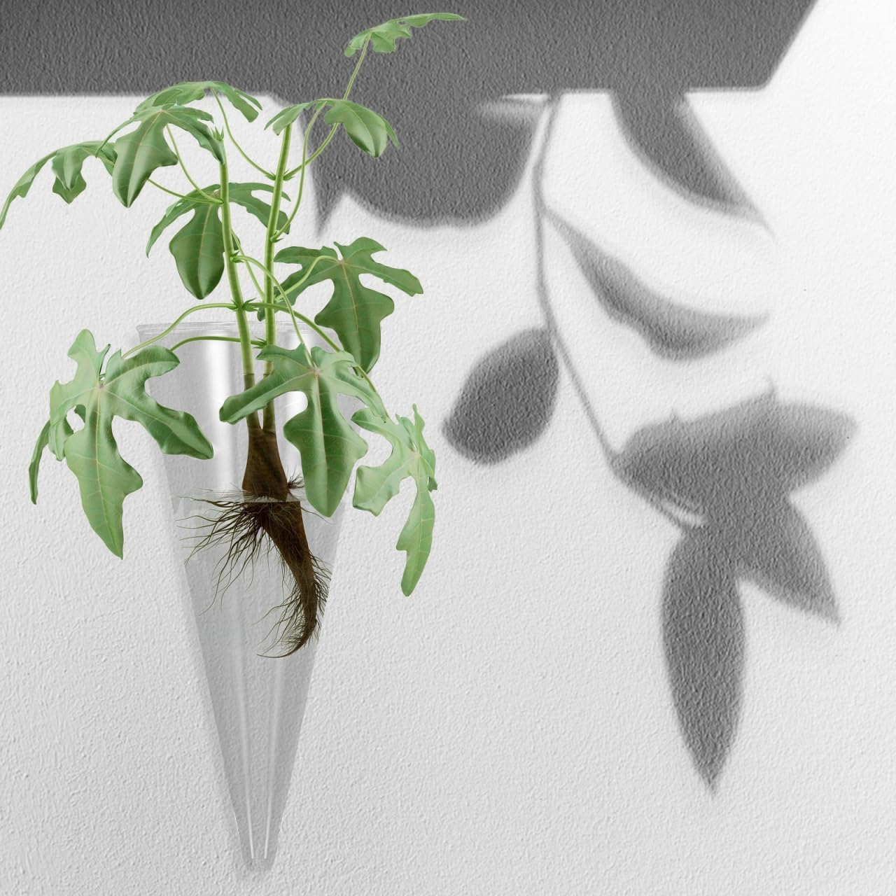 GOOHOCHY Hanging Wall Vase Glass Planter Hydroponic Flower Bottle Cone Shape Clear Glass Plant Holder for Home Office Balcony Indoor Decoration