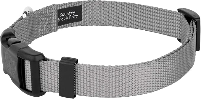 Country Brook Petz - Everyday Nylon Dog Collar and Leash - 10+ Cool Colors (3/8 Inch, 2XS, Silver)
