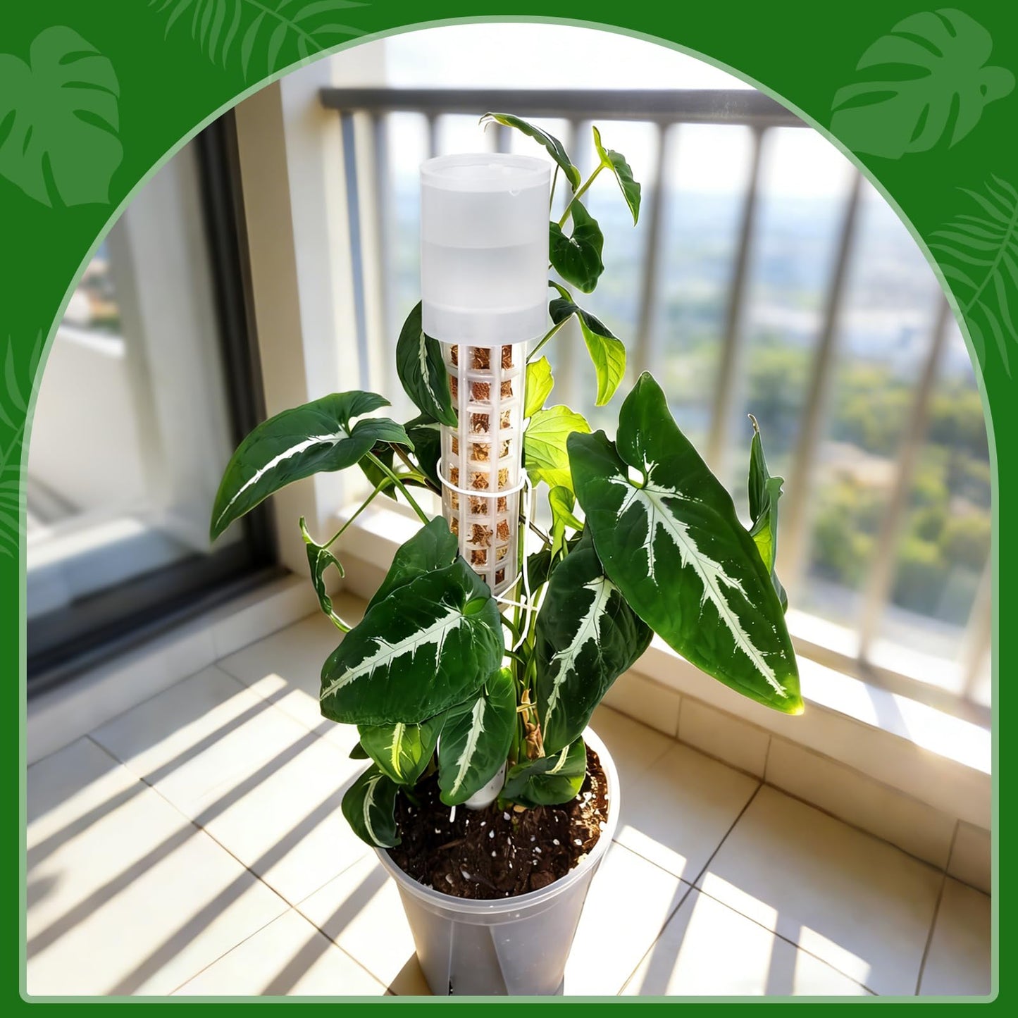 6 Pack Adjustable Moss Pole Watering Dripper, Self Watering Planter Insert with Flow Control, Plant Watering Globes Devices, Slow Release Self Watering Spikes for Monstera Epipremnum