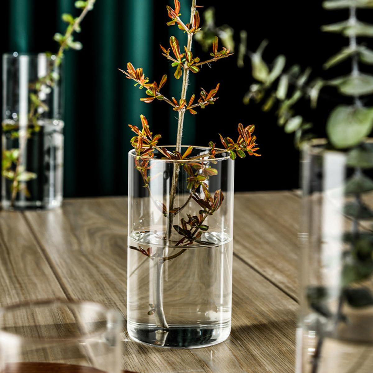 VALICLUD Glass Cylinder Vase 10x25cm High Borosilicate Hydroponic Flower Vase Decorative Glass Terrarium for Indoor Plants and Flower Arrangements