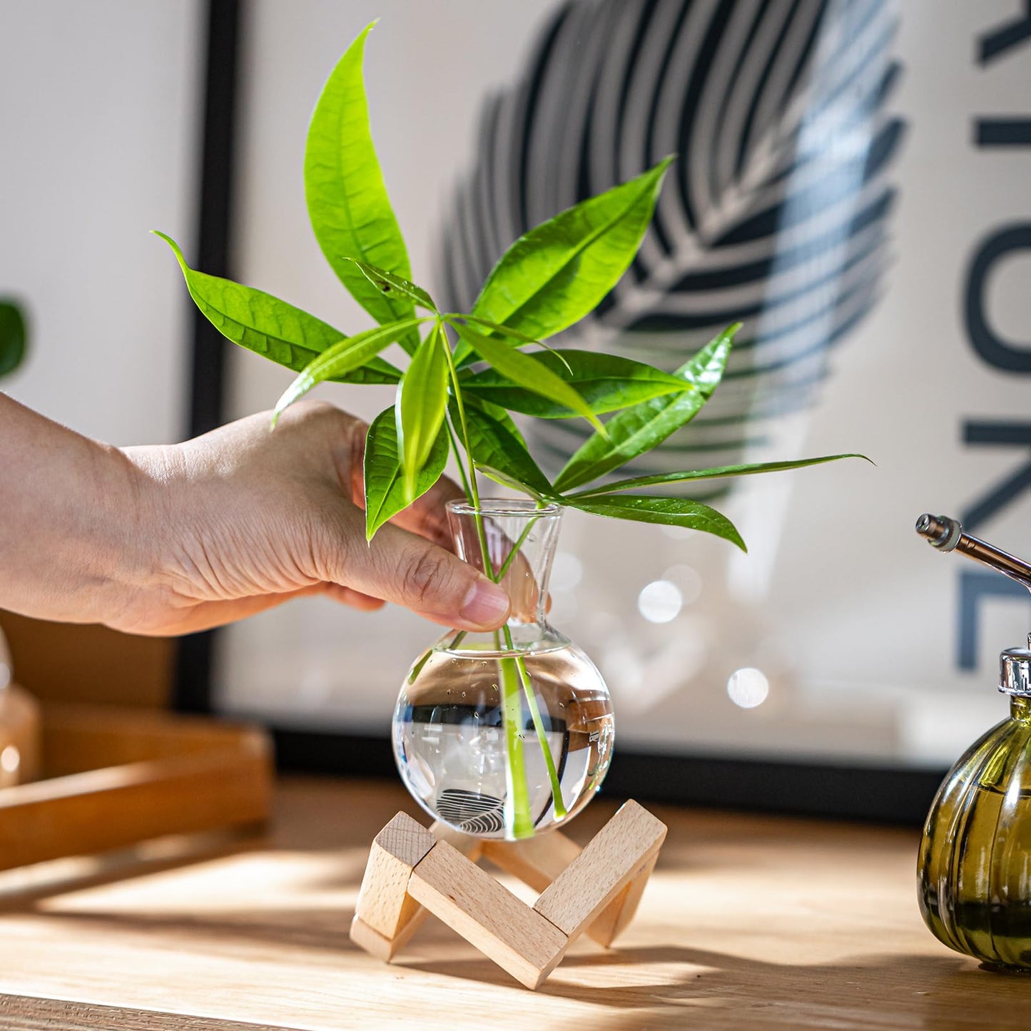 wangsdjy Propagation Stations, Propagation vases with Wooden Stand, Small Tabletop Glass Bulb Vases for Hydroponics Plant Propagation Station Home Office Decoration, Gift for Women Plant Lovers (6)