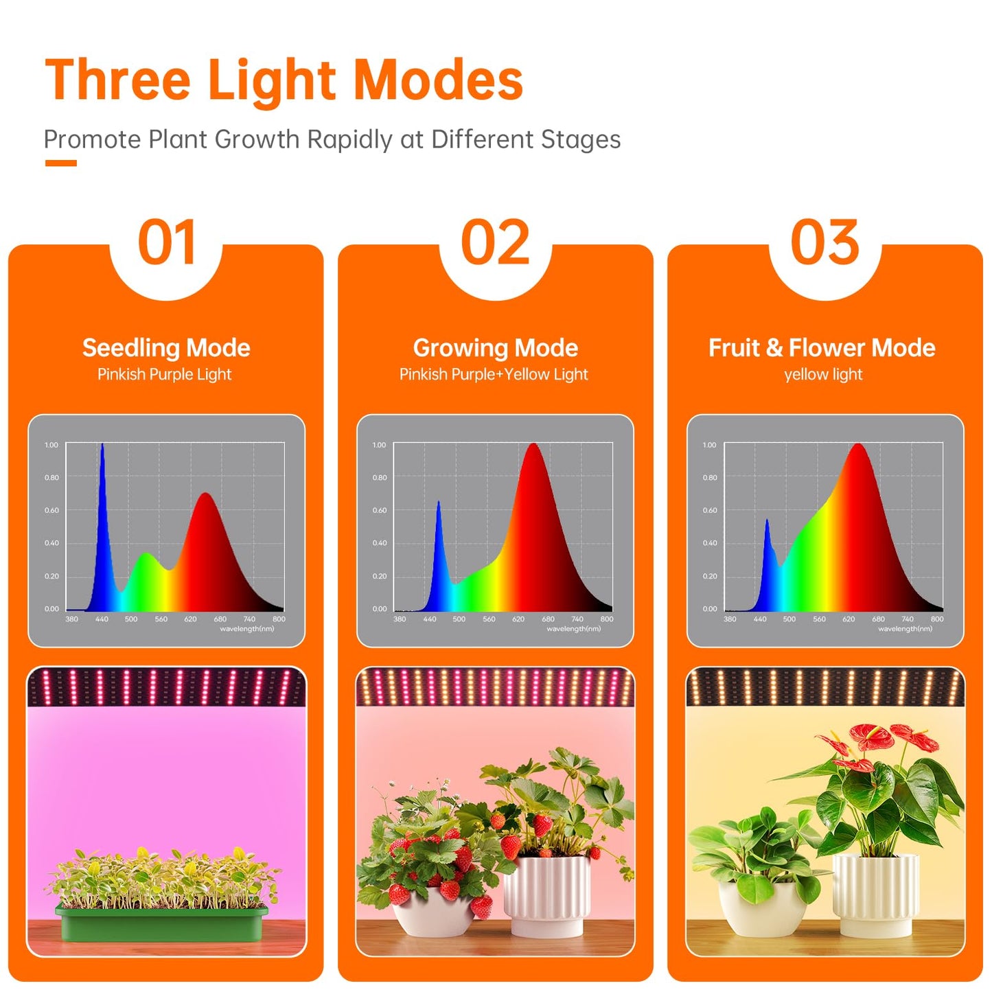 Bstrip Indoor Greenhouse with Grow Lights, 4 Tier 27.2" L×19.9" W×61.8" H Mini Greenhouse with Zippered PVC Cover for Seed Starting Trays, Dimmable 2FT 60W Plant Light for Indoor Plants with Timer