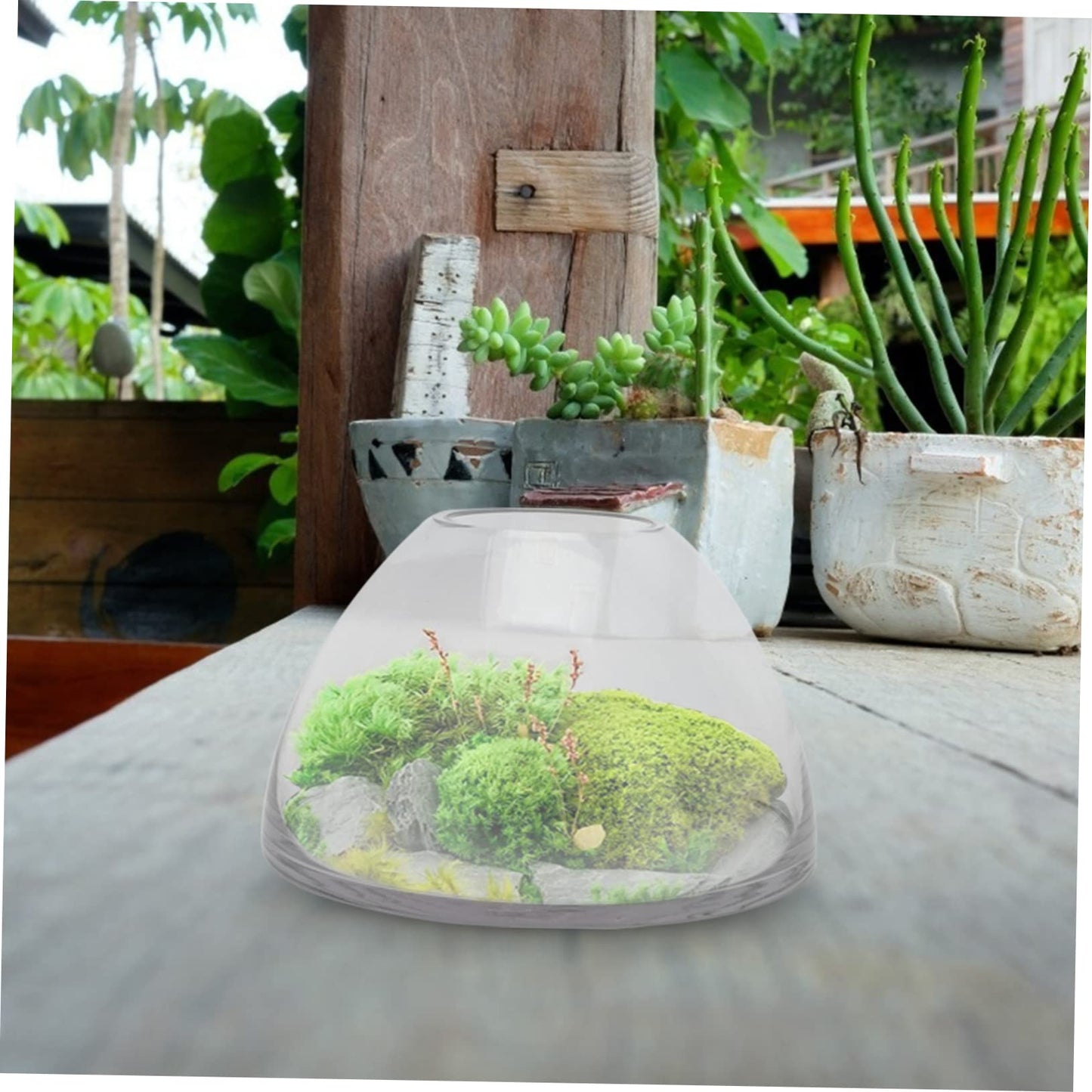 FONDOTIN Micro Landscape Bottle for Home Decor Borosilicate Glass Terrarium Holder Decorative Plant Ecosystem Container for Small Indoor Plants