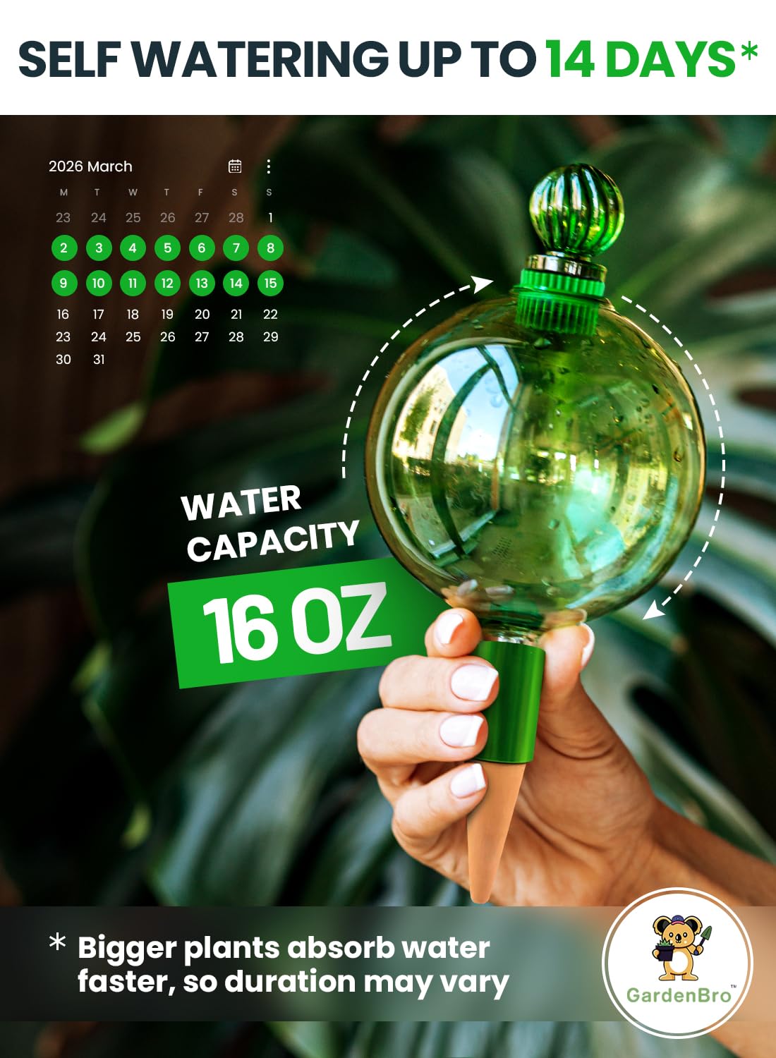 16 Oz Plant Watering Globes for Indoor Plants with Terracotta Self Watering Planter Insert - Hand-Blown XL Glass Globes - Automatic Indoor Planter Waterer, Gift Idea for Gardeners [1, Emerald]