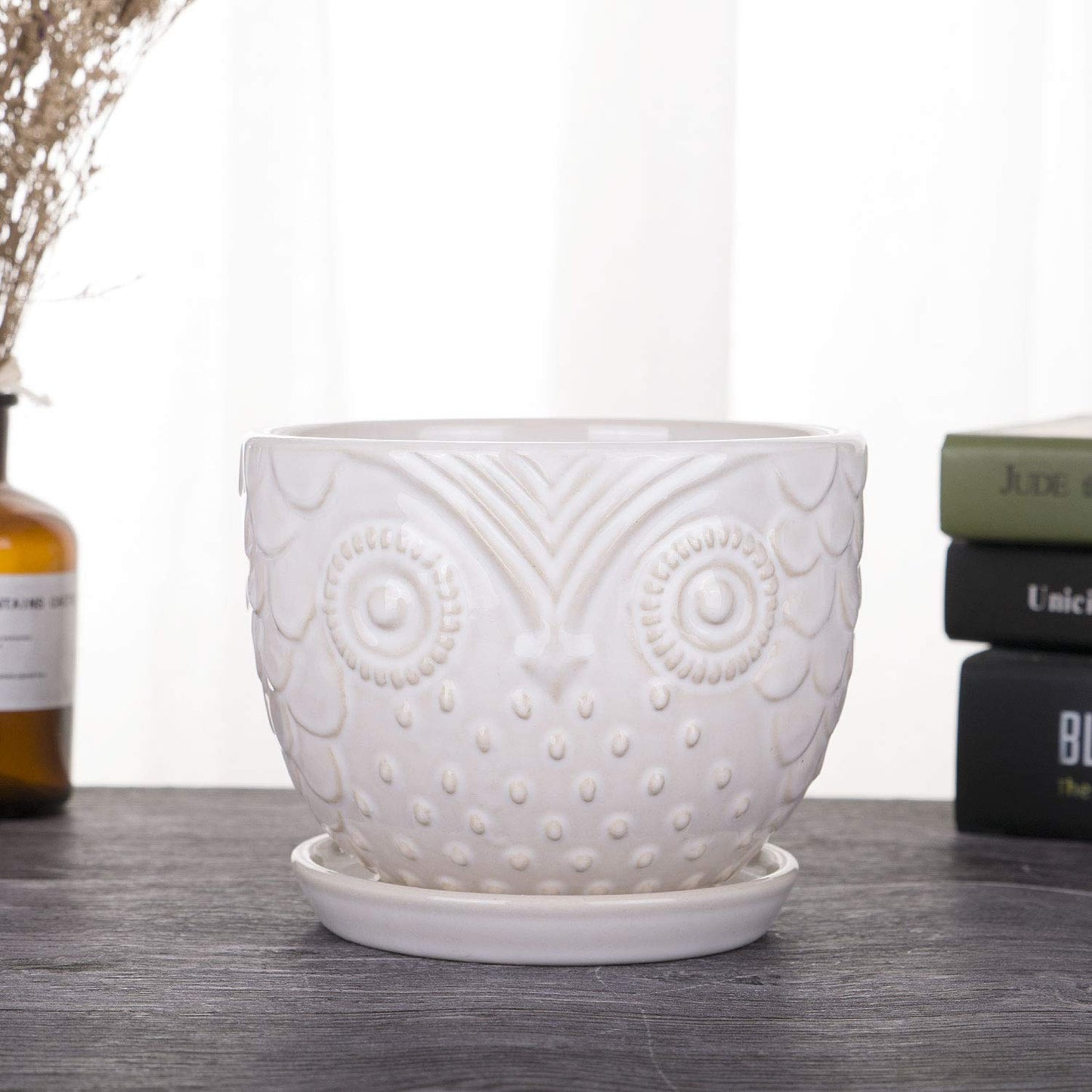 VanEnjoy 6.5 Inch White Owl Ceramic Planters Plant Pot for Medium Plant, Succulent, with Saucer