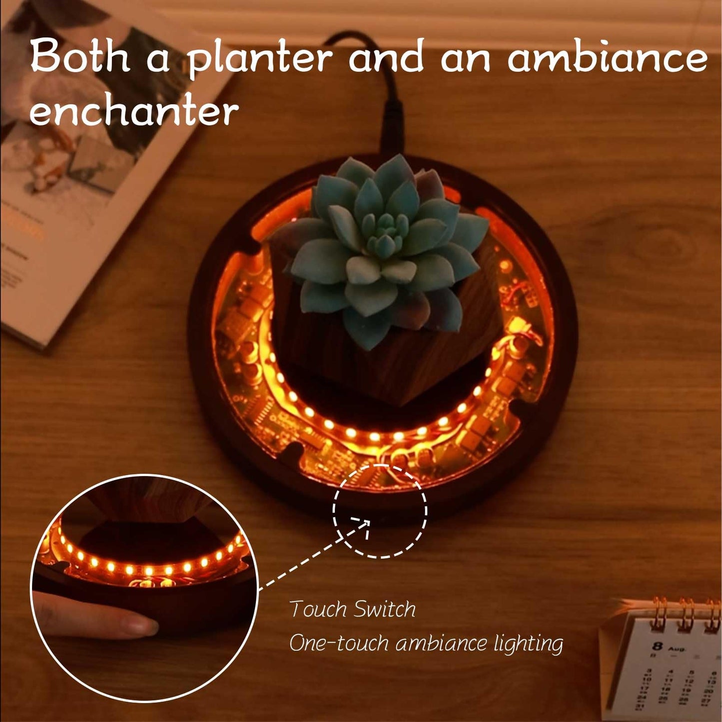 CENTRALEV Magnetic Levitating Plant Pot with LED Light, 360° Rotating Floating Planter for Succulents, Unique Gift for Christmas, Valentine's & Mother's Day, Modern Home Office Desk Decor