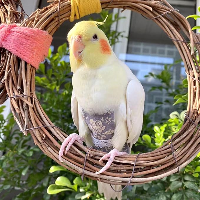 Bird Flight Suits Diapers, Parrot Flight Suits Diapers for Quaker Parakeets Cockatiels Conures Macaw African Grey, Bird Diaper, Parrot Clothes (Red A,2XL)