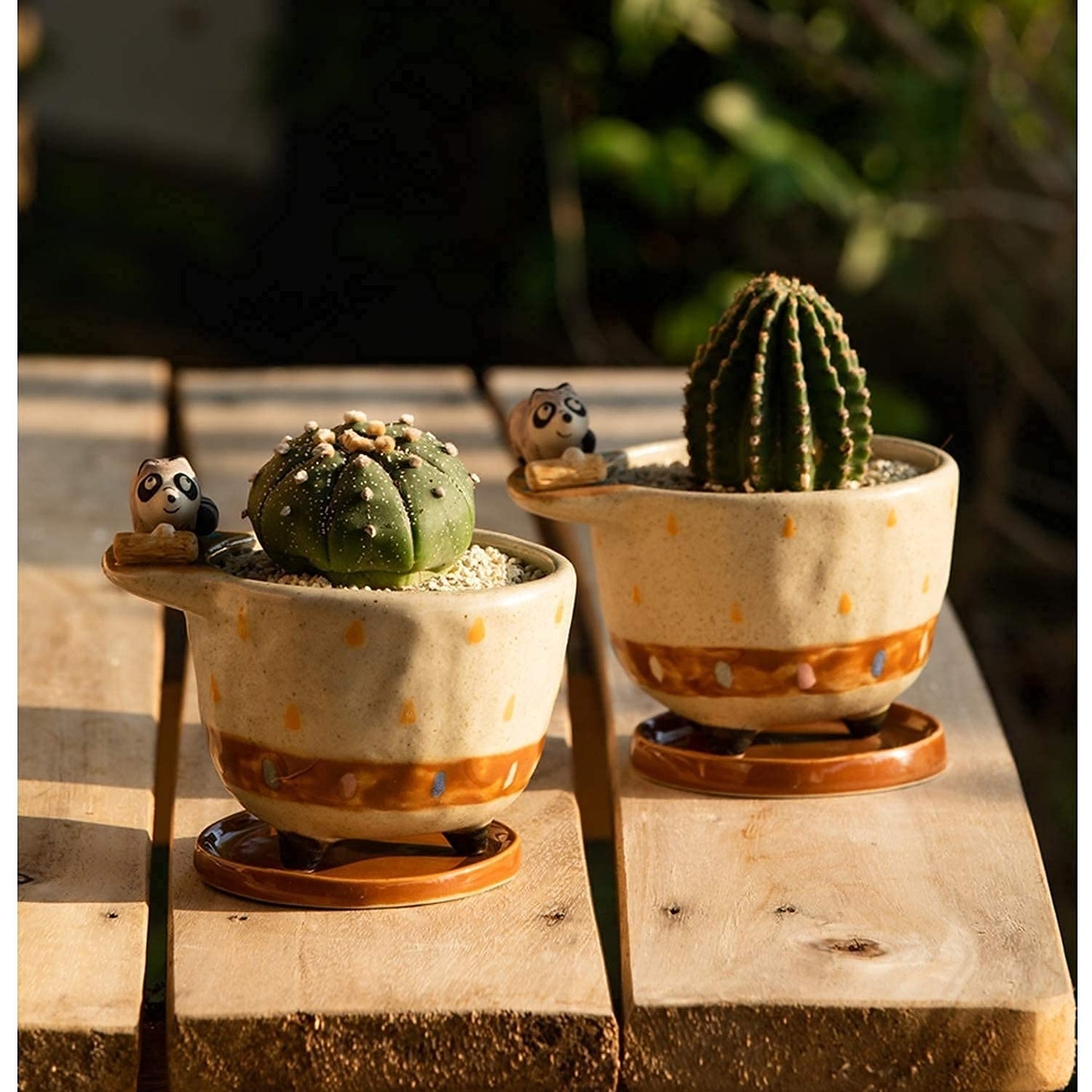 MAKOLO Ceramic Succulent Planter Small Pot with Drainage Hole and Tray for Cactus Flower Plant Container Shelf Home Office Desk Decoration (Raccoon)