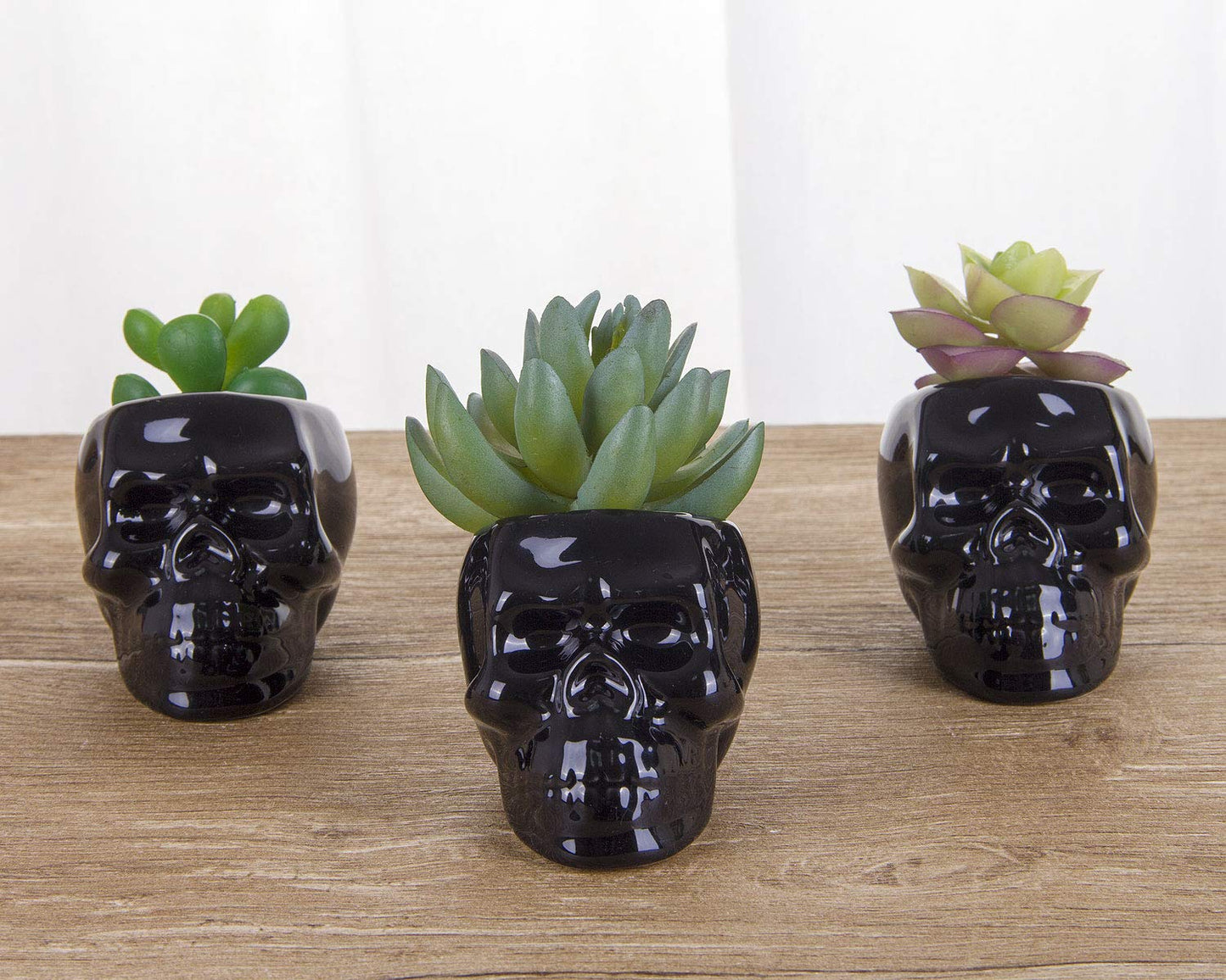 VanEnjoy Set of 3 Black Ceramic Skull Shaped Succulent Planter Pots Creative Cactus Plant Pot Pen Pencil Holder, Home Office Desk Decoration