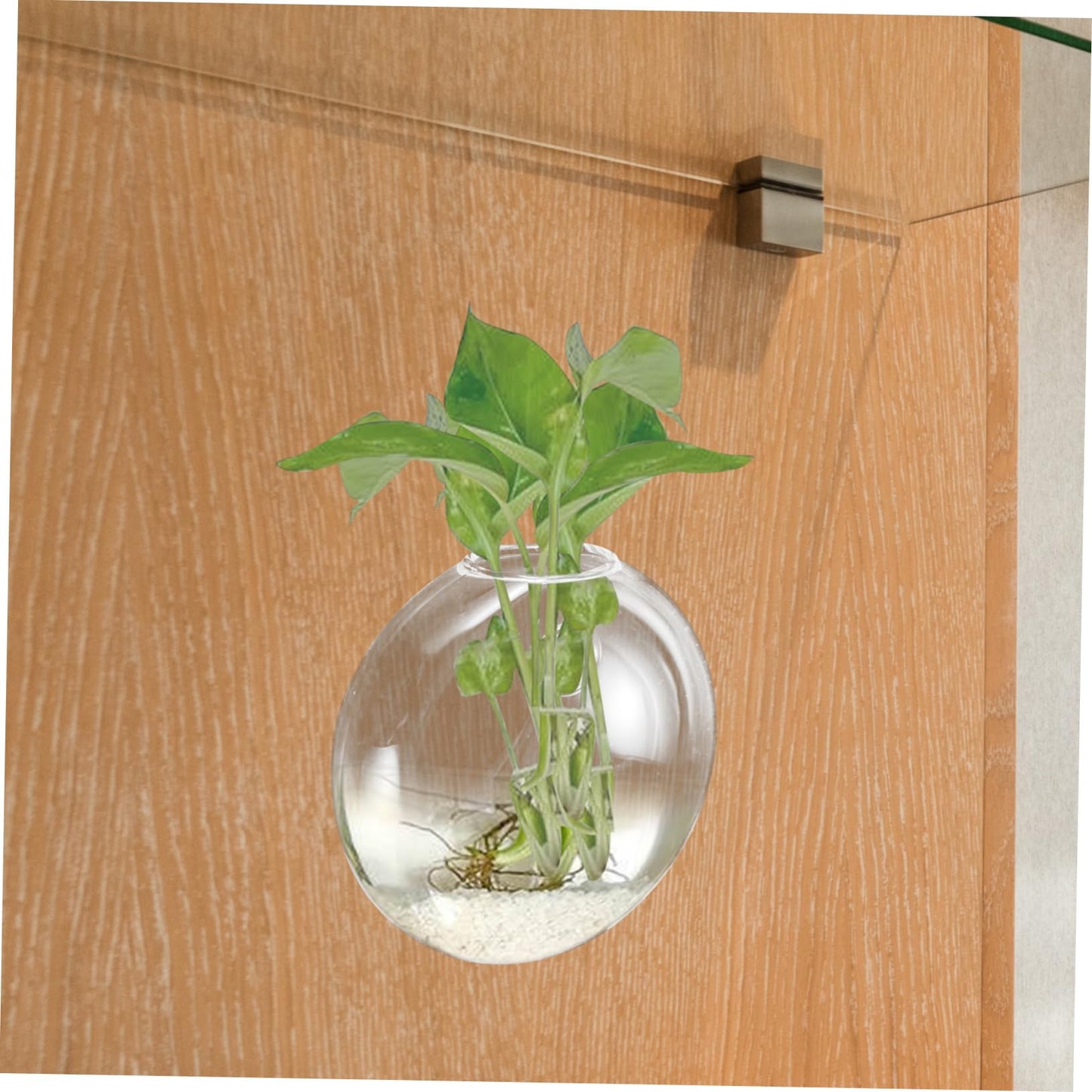 Yardenfun Wall Mounted Hydroponic Vase Glass Terrarium Planter for Indoor Plants Stylish Hanging Wall Planter for Home Decoration