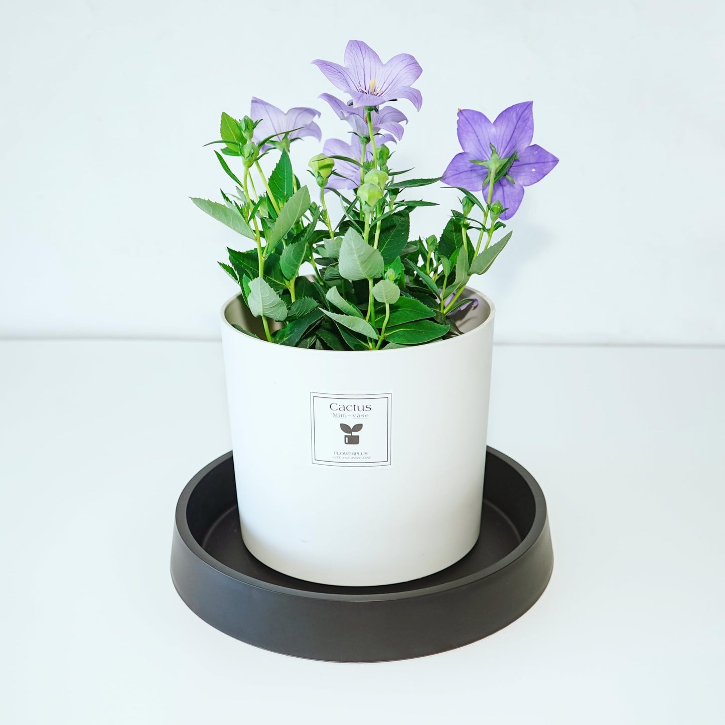 Bleuhome Plant Saucer Tray for Ceramic Plastic Pots, 14 inch Plant Saucers for Indoors, Pot Saucers Trays, Bird Bath Bowls, Flower Planter Water Drip Trays for Pots Base (14", Black)