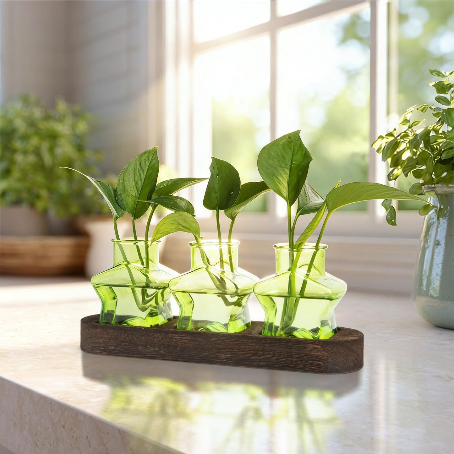 XXXFLOWER Plant Propagation Station with Wooden Stand，Air Plant Terrarium Starter Kits Star Vases for Flowers Plant Cutting Rooting Pots Indoor Hydroponic Glass Planter for Plant Lovers,3 Jars(Green)