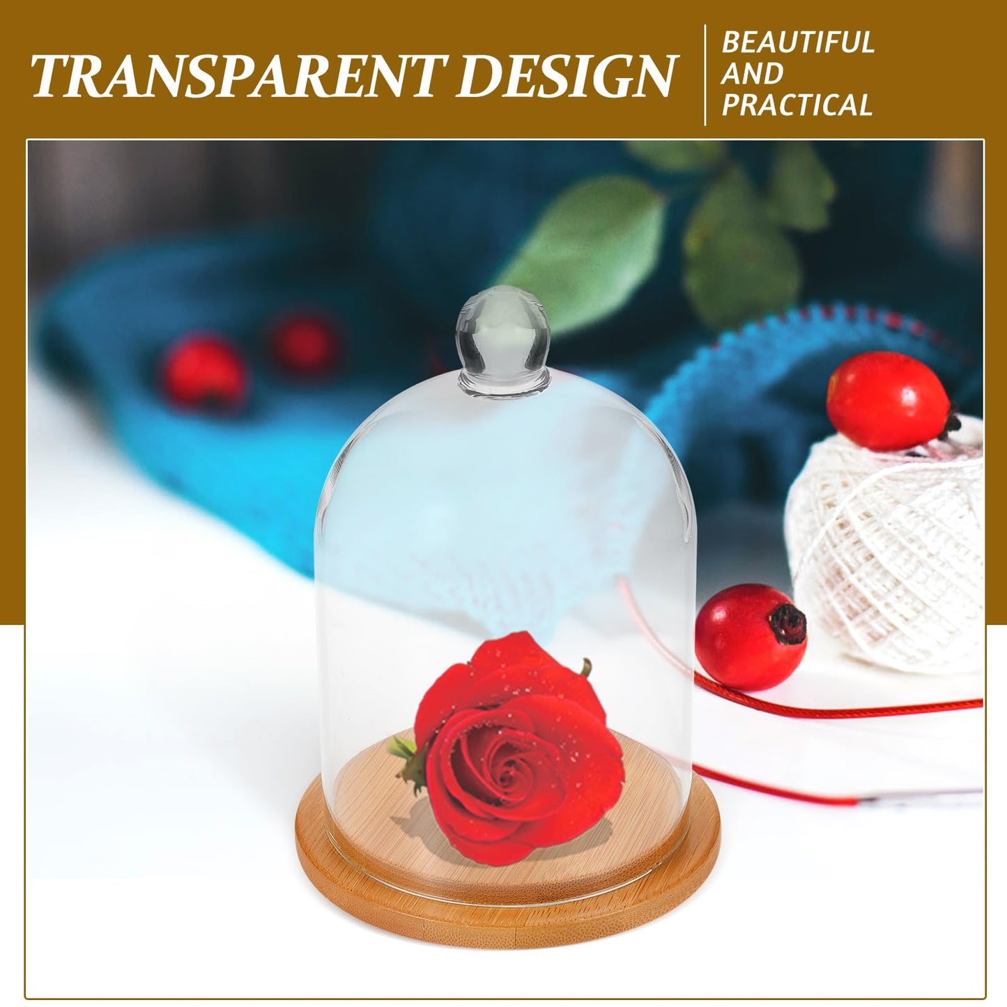 POPETPOP Glass Cloche Dome Bell Jar Display Case 9"" Clear Glass – Space-Saving for Shelf or Desk Display – for Plants, Collectible Figures, Candle Decor, Terrariums
